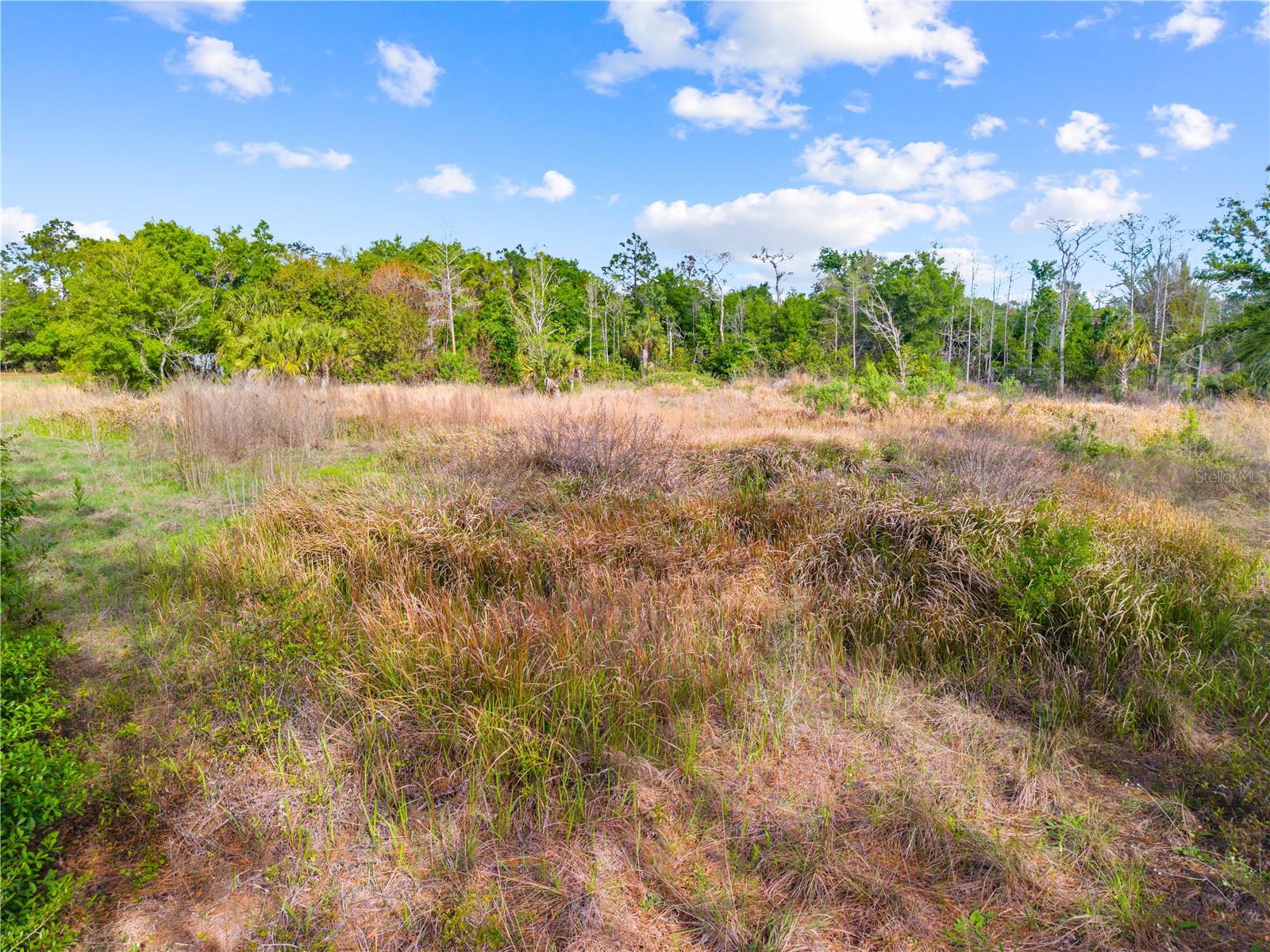 0 RICHMOND AVE, ST CLOUD, FL, 34772