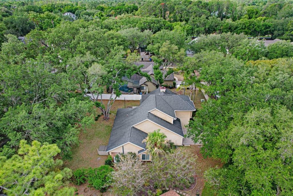 6214 FARTHING ST, TAMPA, FL, 33647