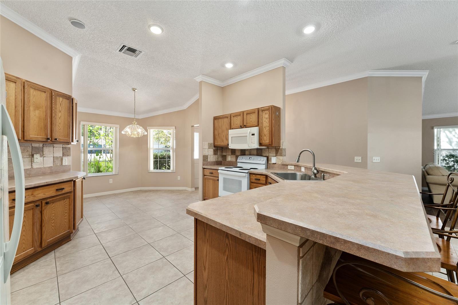 1205 BOWER LN, LADY LAKE, FL, 32159