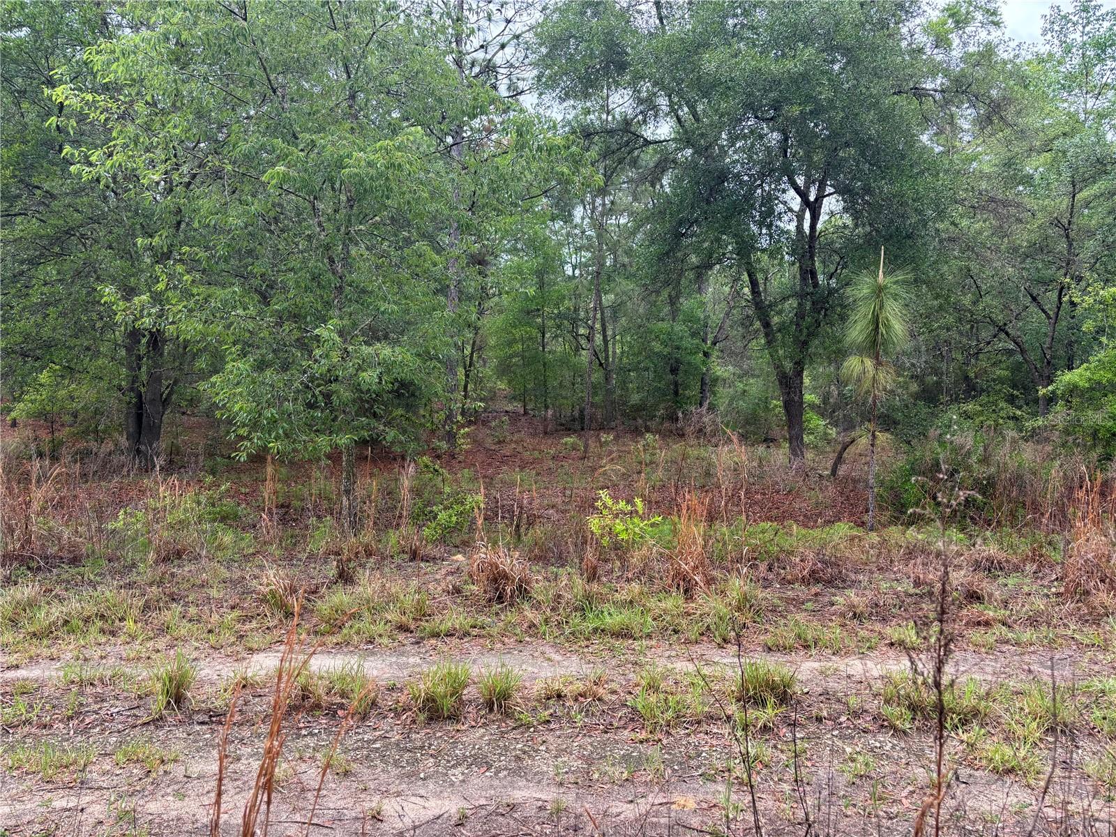 0000 SW 19TH PL, OCALA, FL, 34481