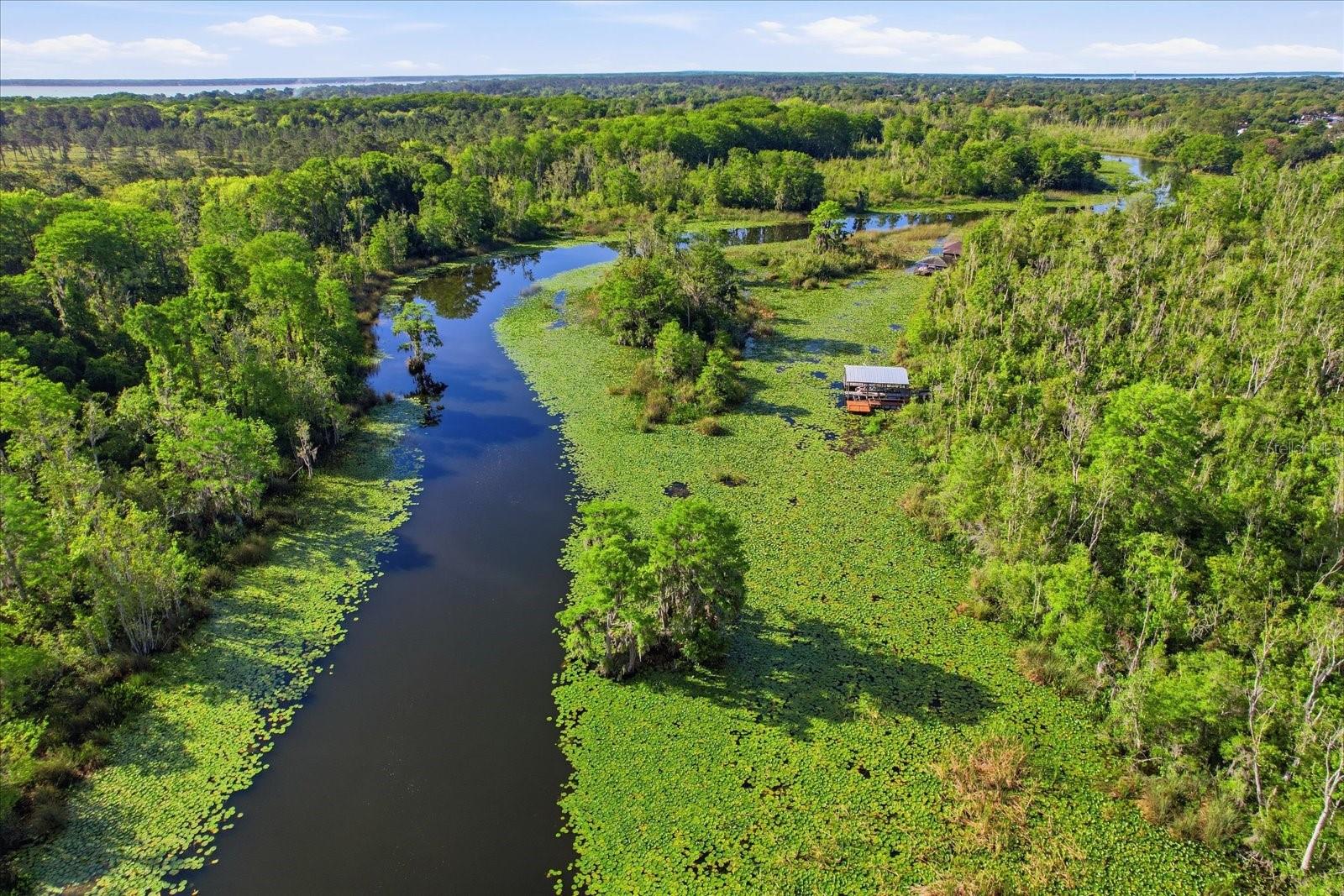 35103 RIVERSIDE CT, LEESBURG, FL, 34788