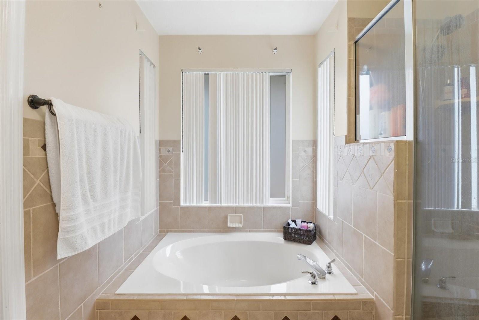 35103 RIVERSIDE CT, LEESBURG, FL, 34788