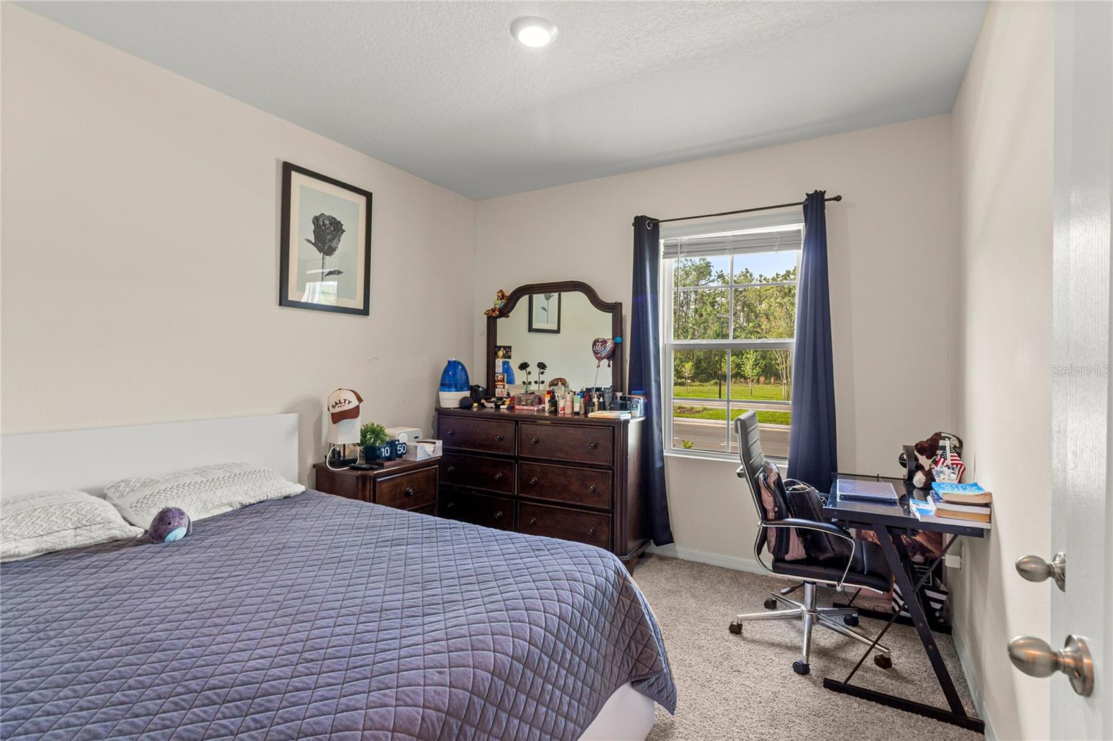 2667 BARRED OWL LN, HARMONY, FL, 34773