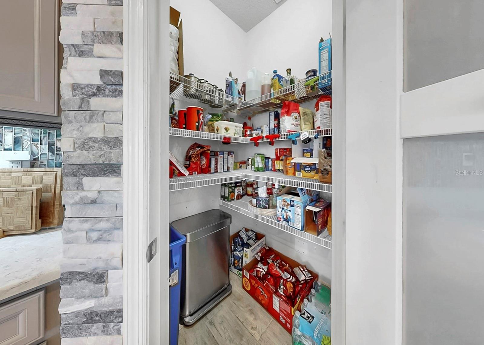 12845 SATIN LILY DR, RIVERVIEW, FL, 33579