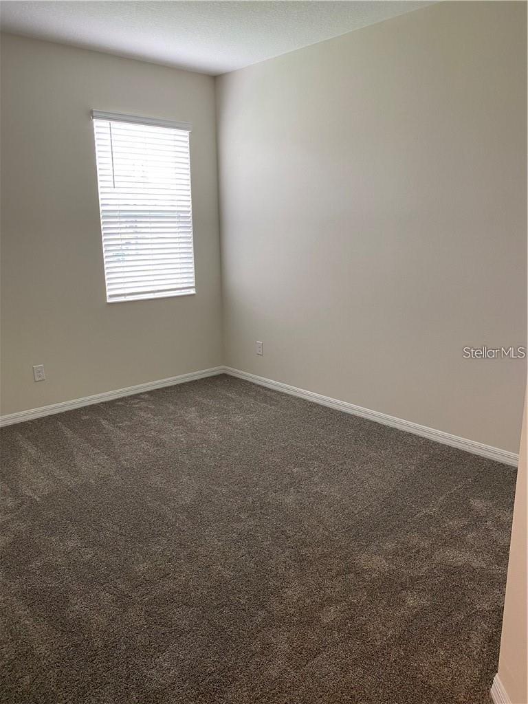 3534 VEGA CREEK DR, ST CLOUD, FL, 34772