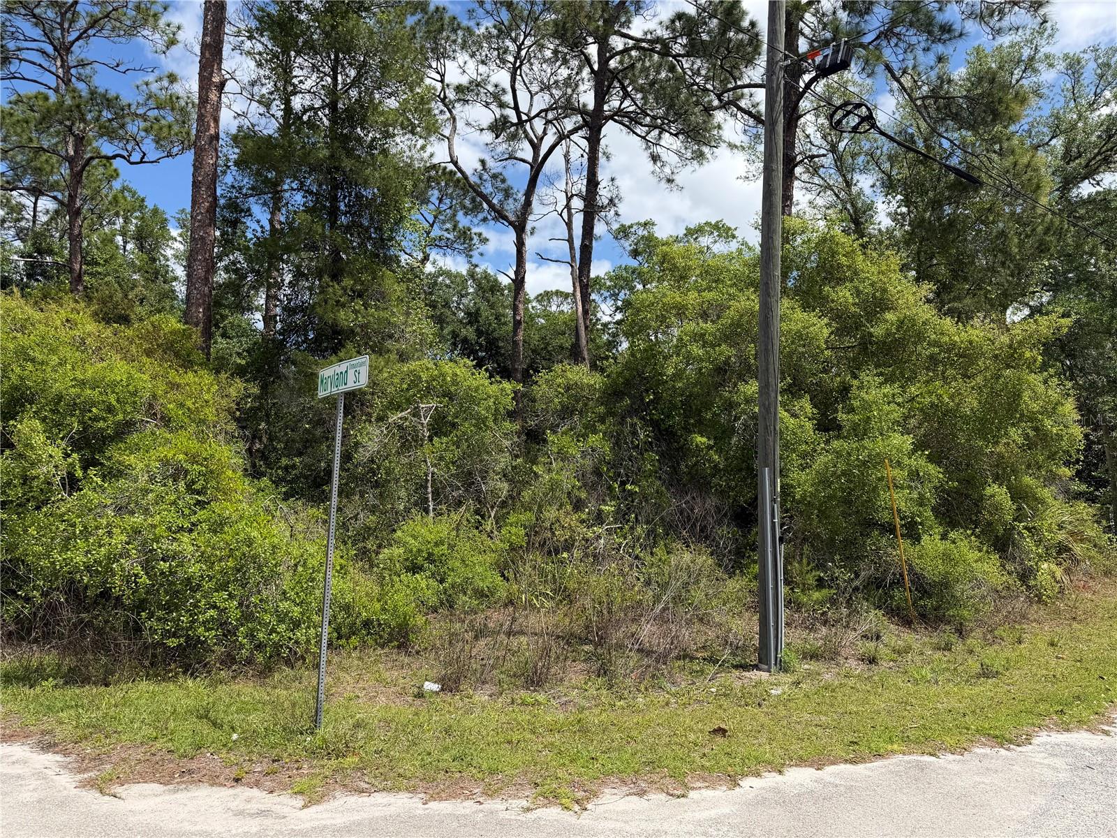 MARYLAND ST, PAISLEY, FL, 32767