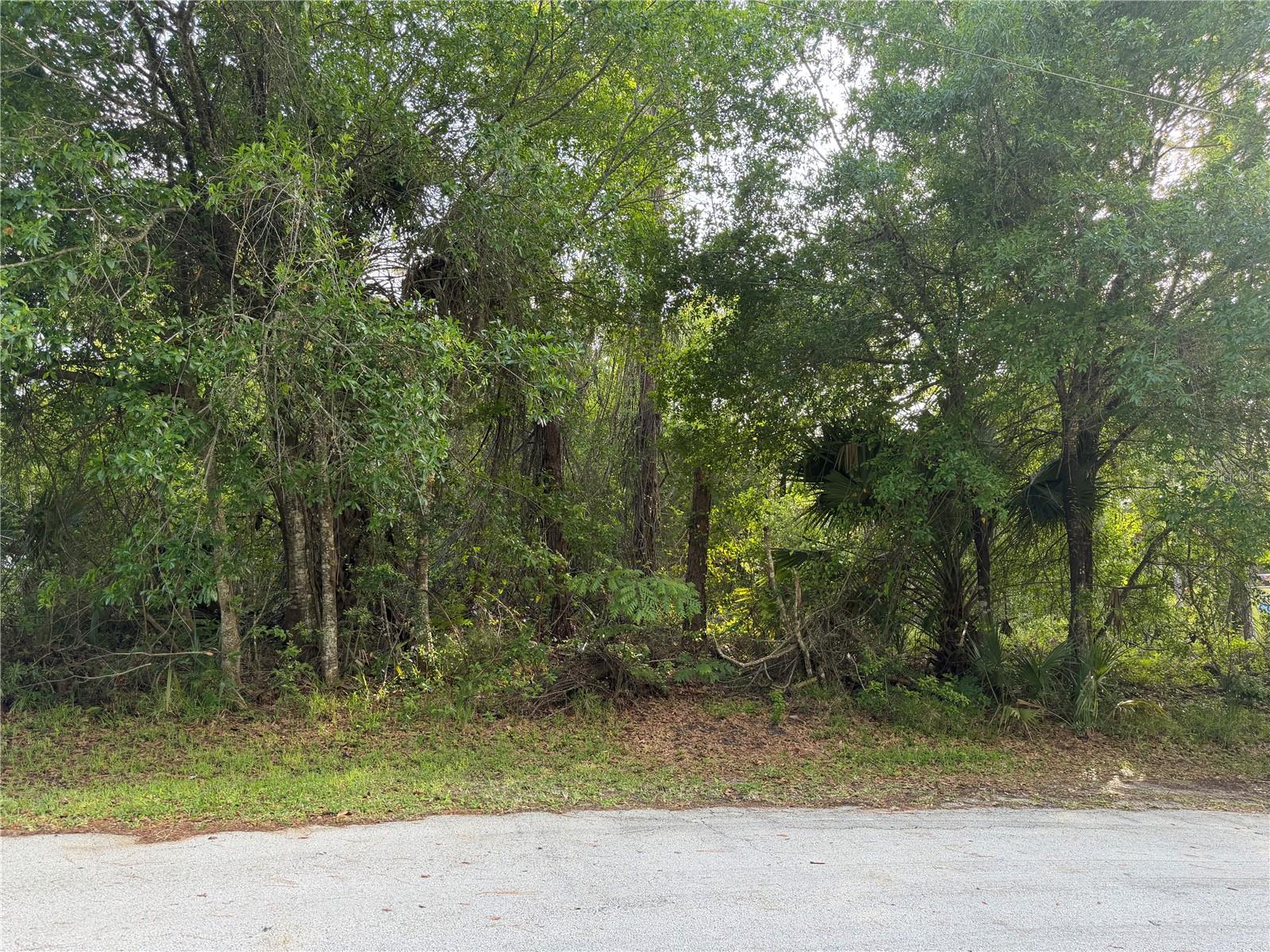 11 PATRICK PL, PALM COAST, FL, 32164