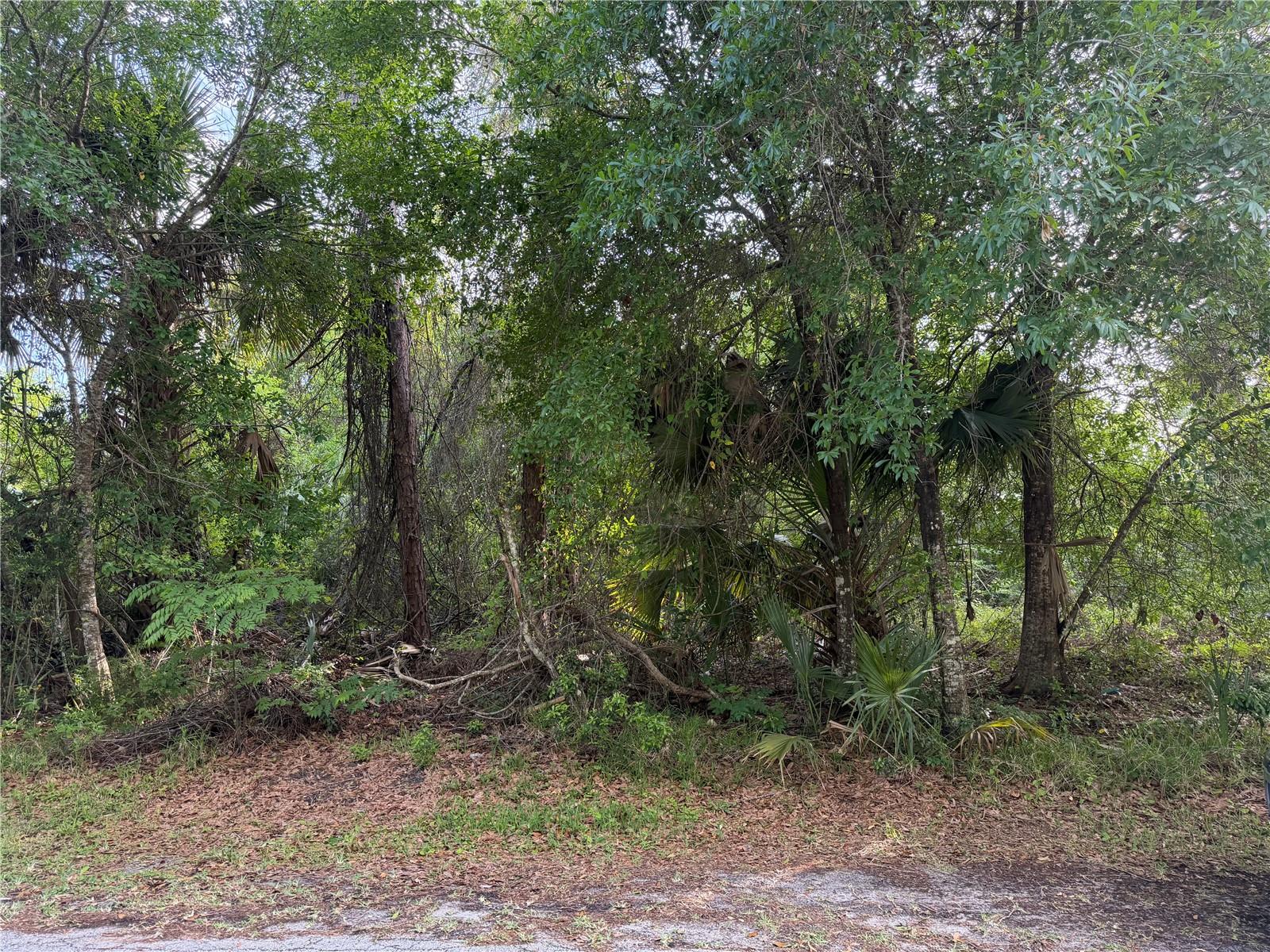 11 PATRICK PL, PALM COAST, FL, 32164