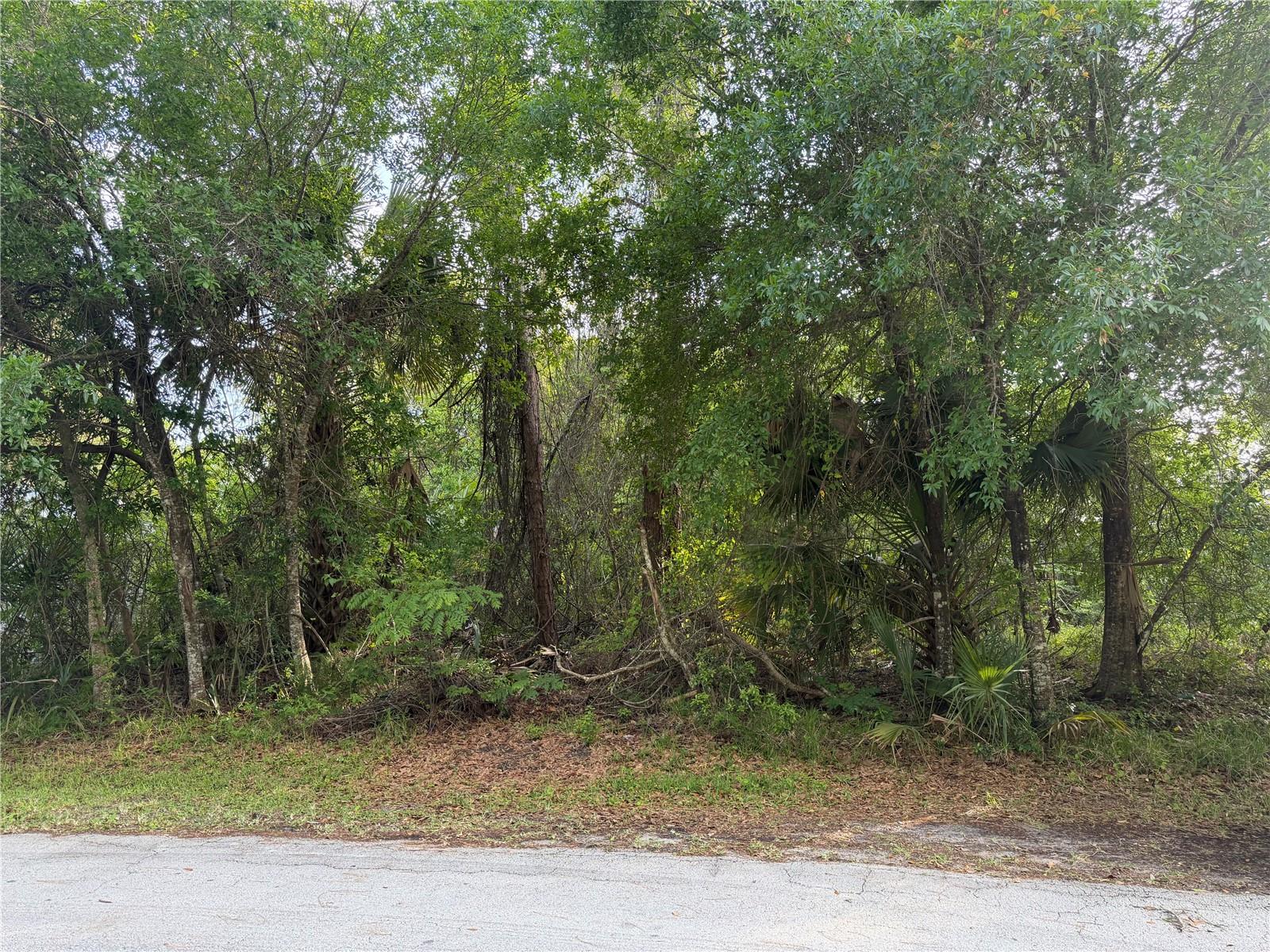 11 PATRICK PL, PALM COAST, FL, 32164