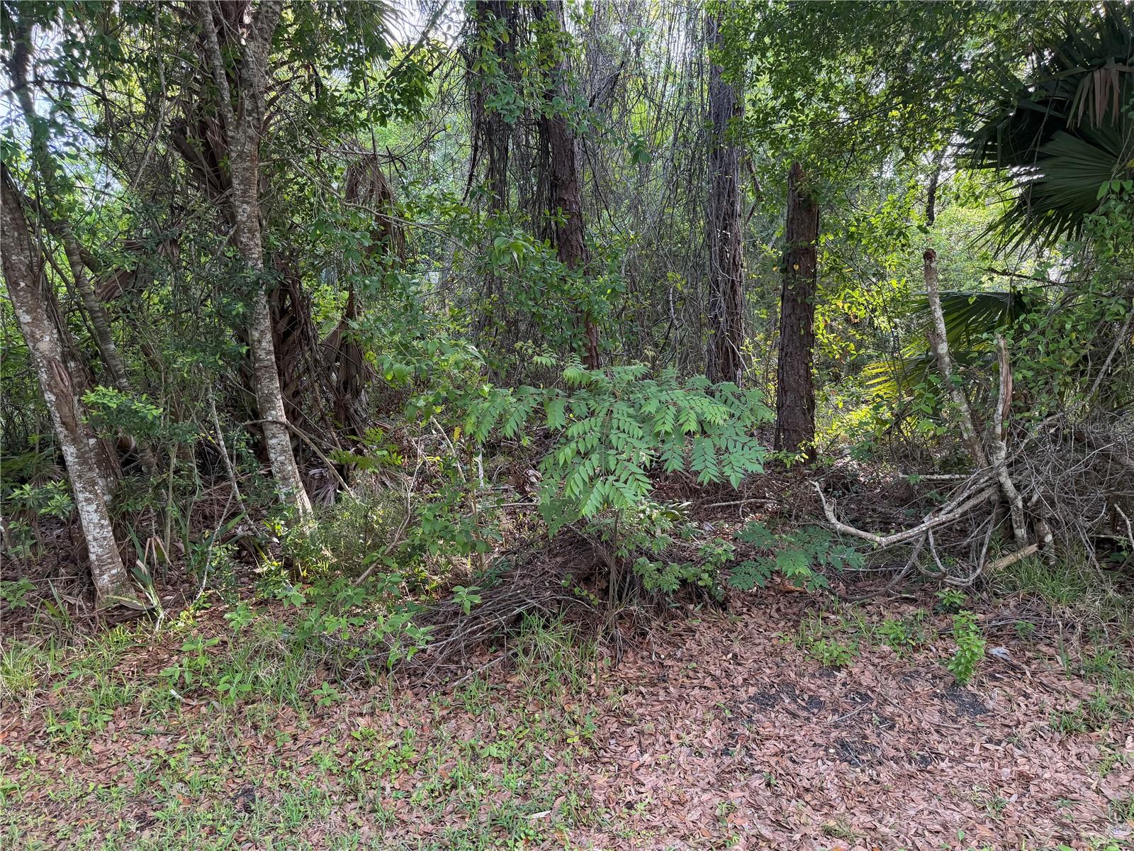 11 PATRICK PL, PALM COAST, FL, 32164
