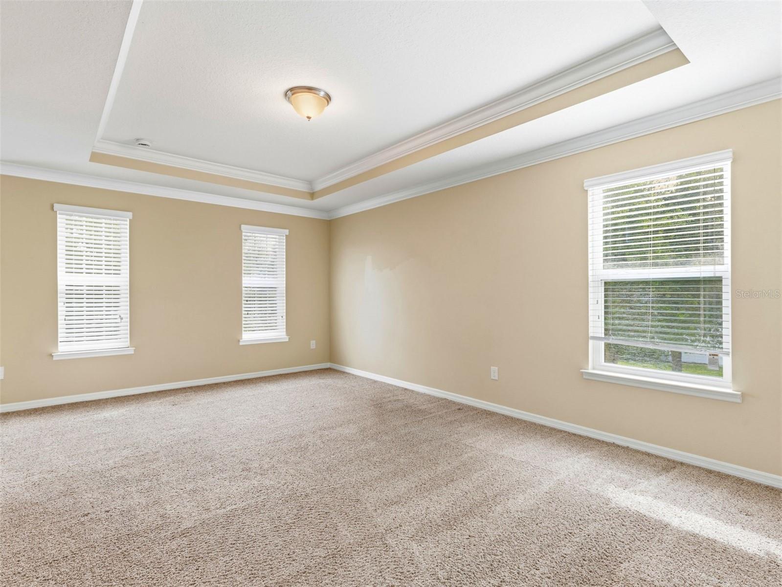 2499 CALVANO DR, LAND O LAKES, FL, 34639