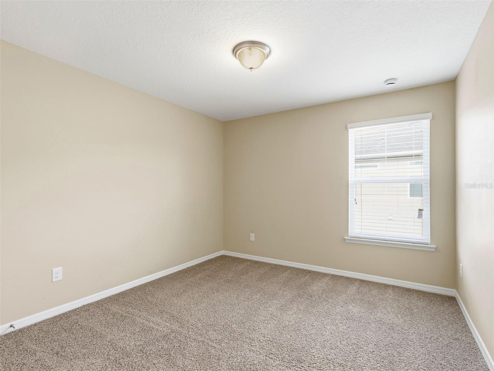 2499 CALVANO DR, LAND O LAKES, FL, 34639