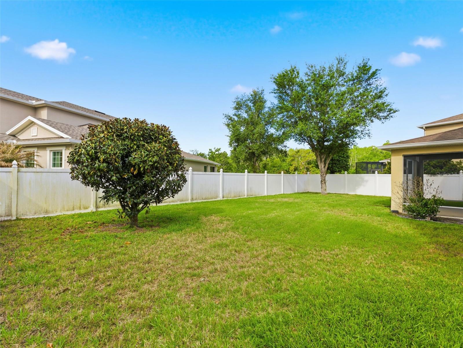 2499 CALVANO DR, LAND O LAKES, FL, 34639