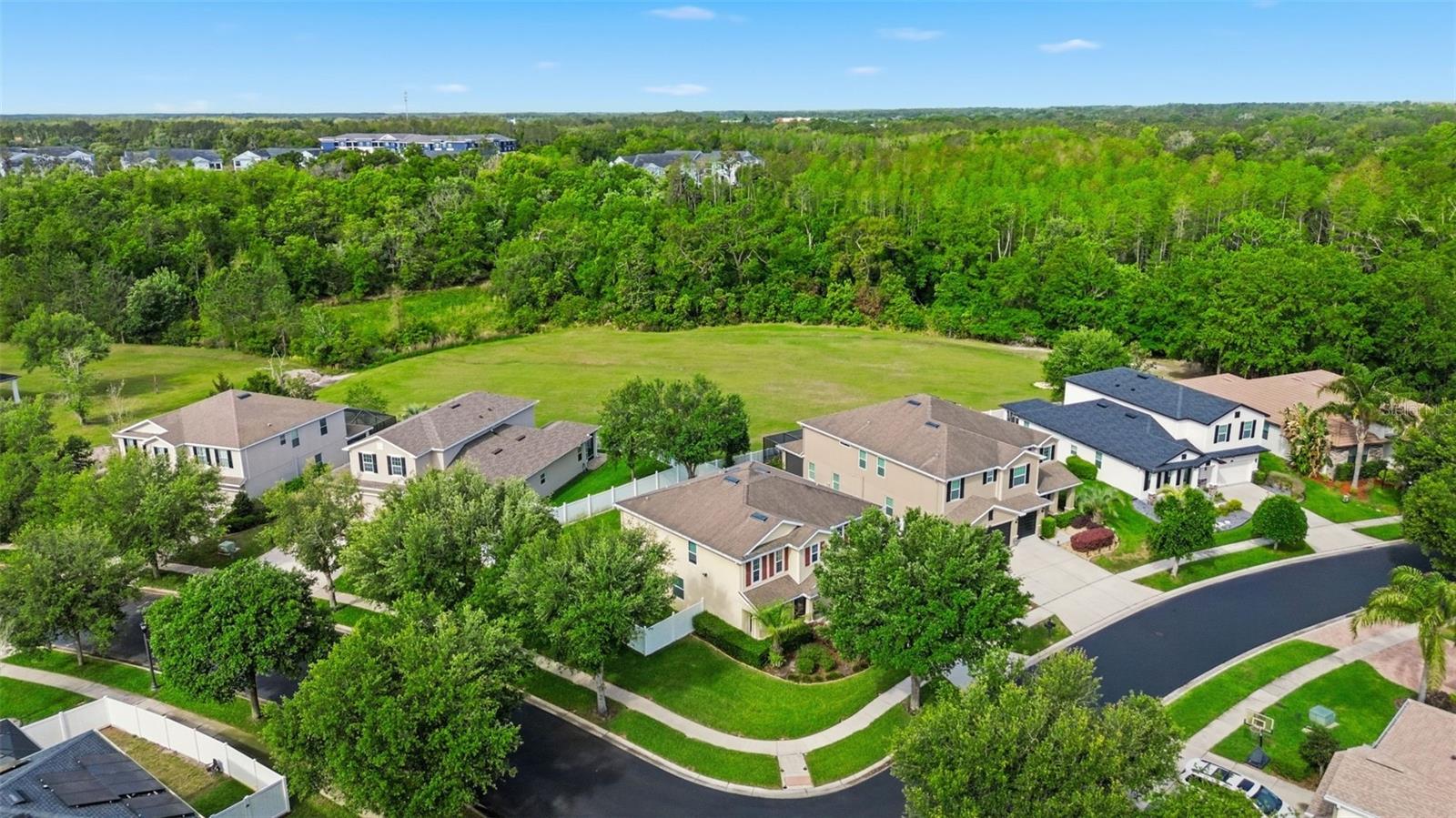 2499 CALVANO DR, LAND O LAKES, FL, 34639