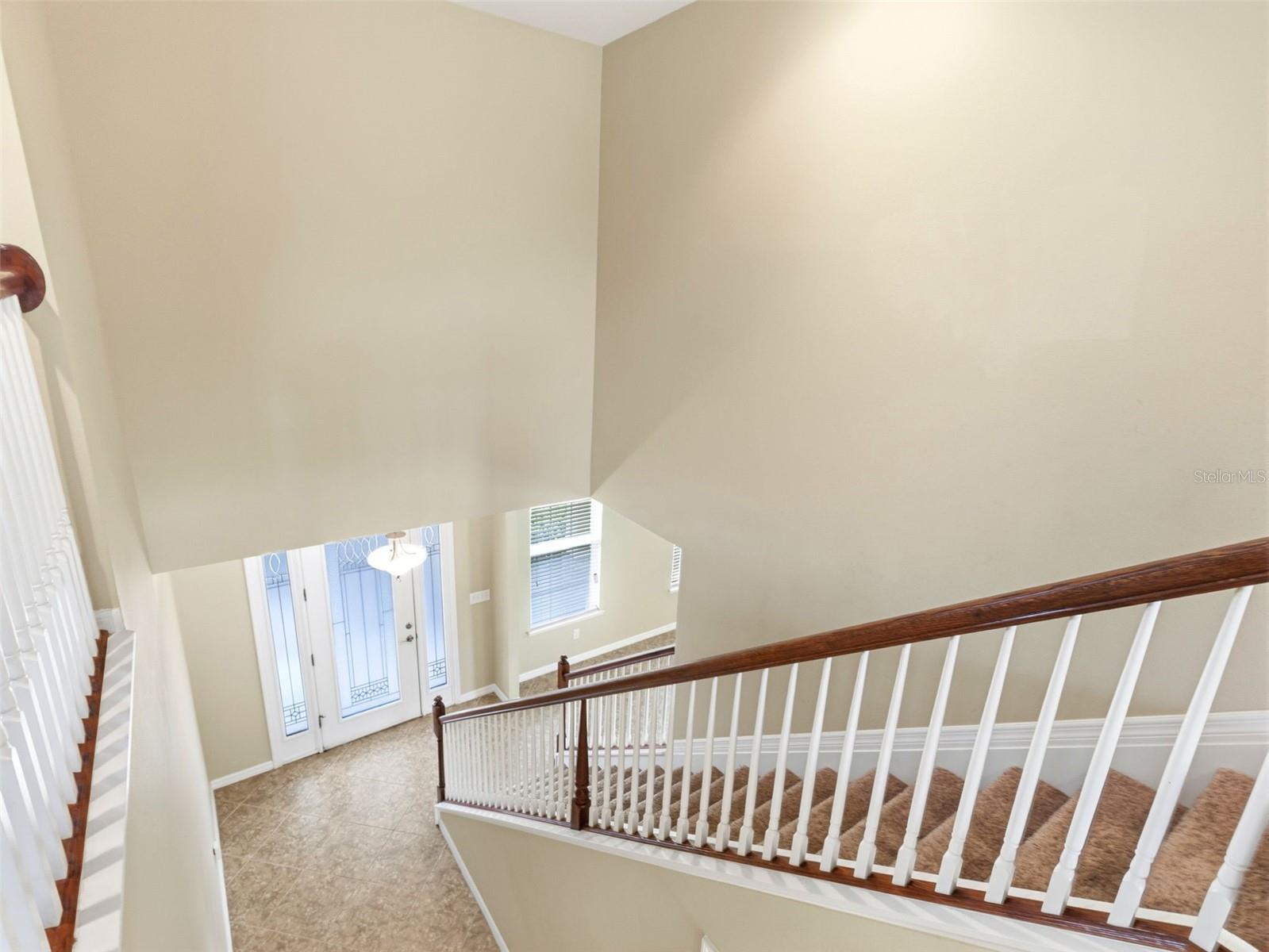 2499 CALVANO DR, LAND O LAKES, FL, 34639