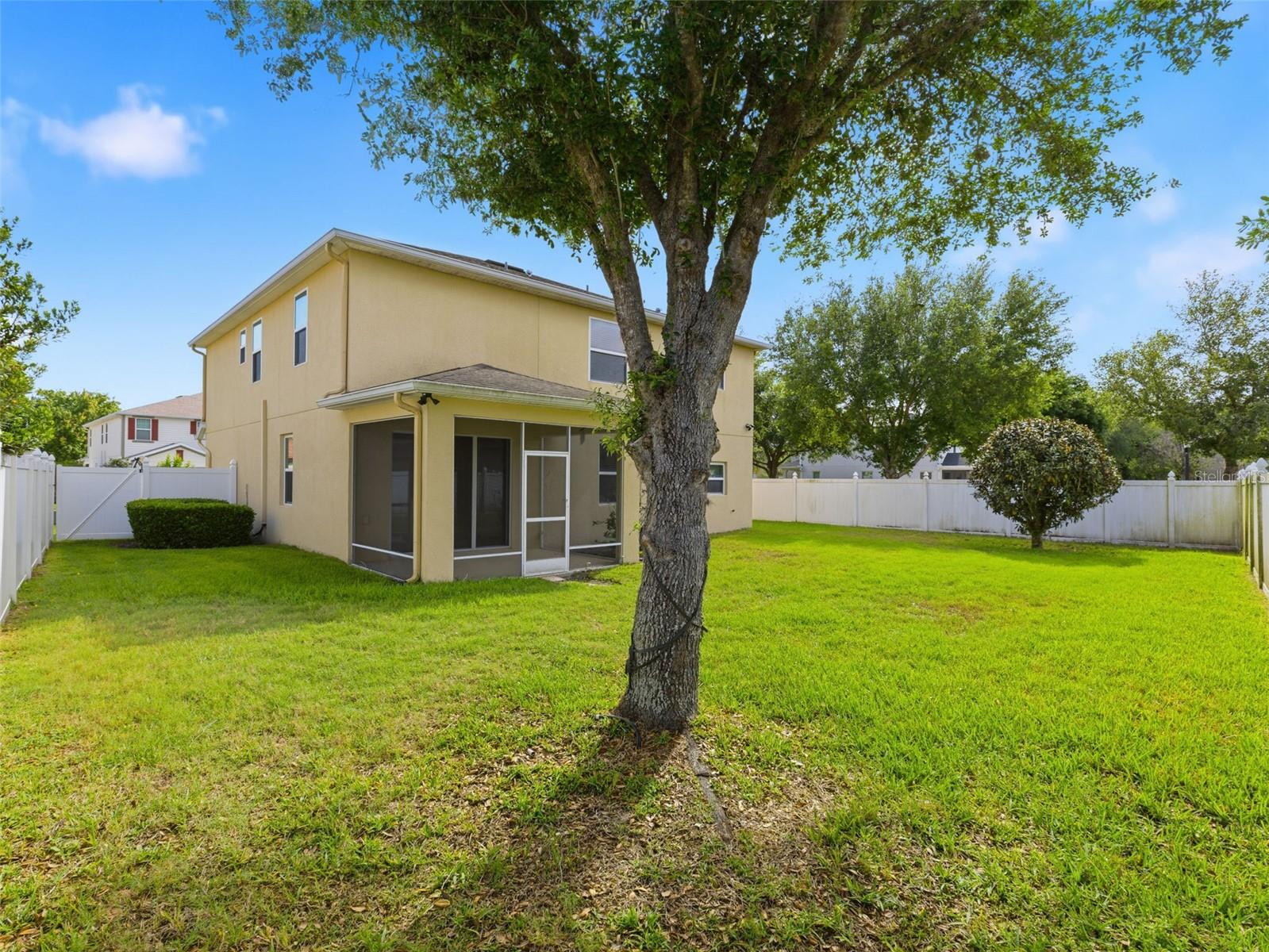 2499 CALVANO DR, LAND O LAKES, FL, 34639
