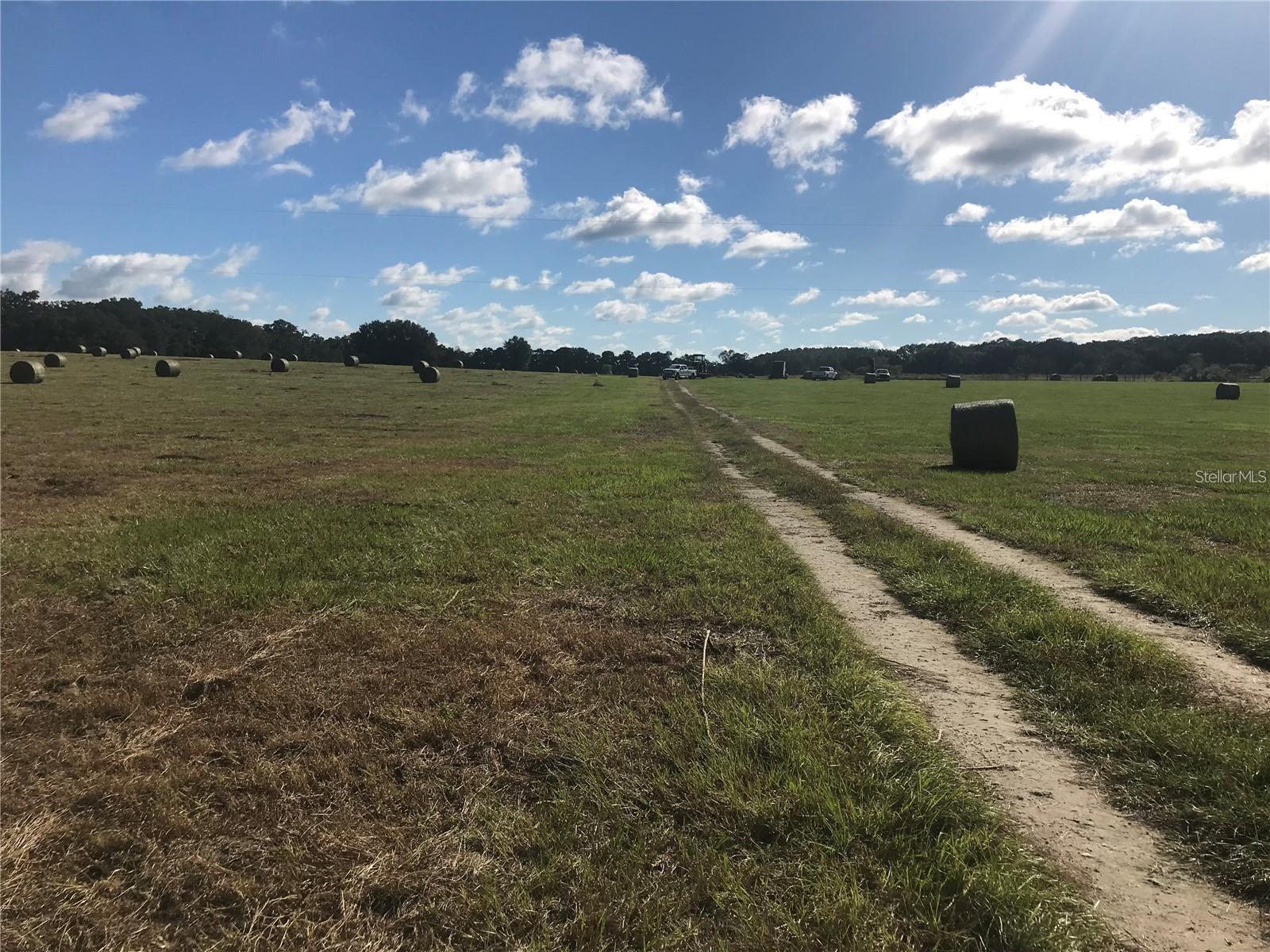TBD NW 133RD, REDDICK, FL, 32686