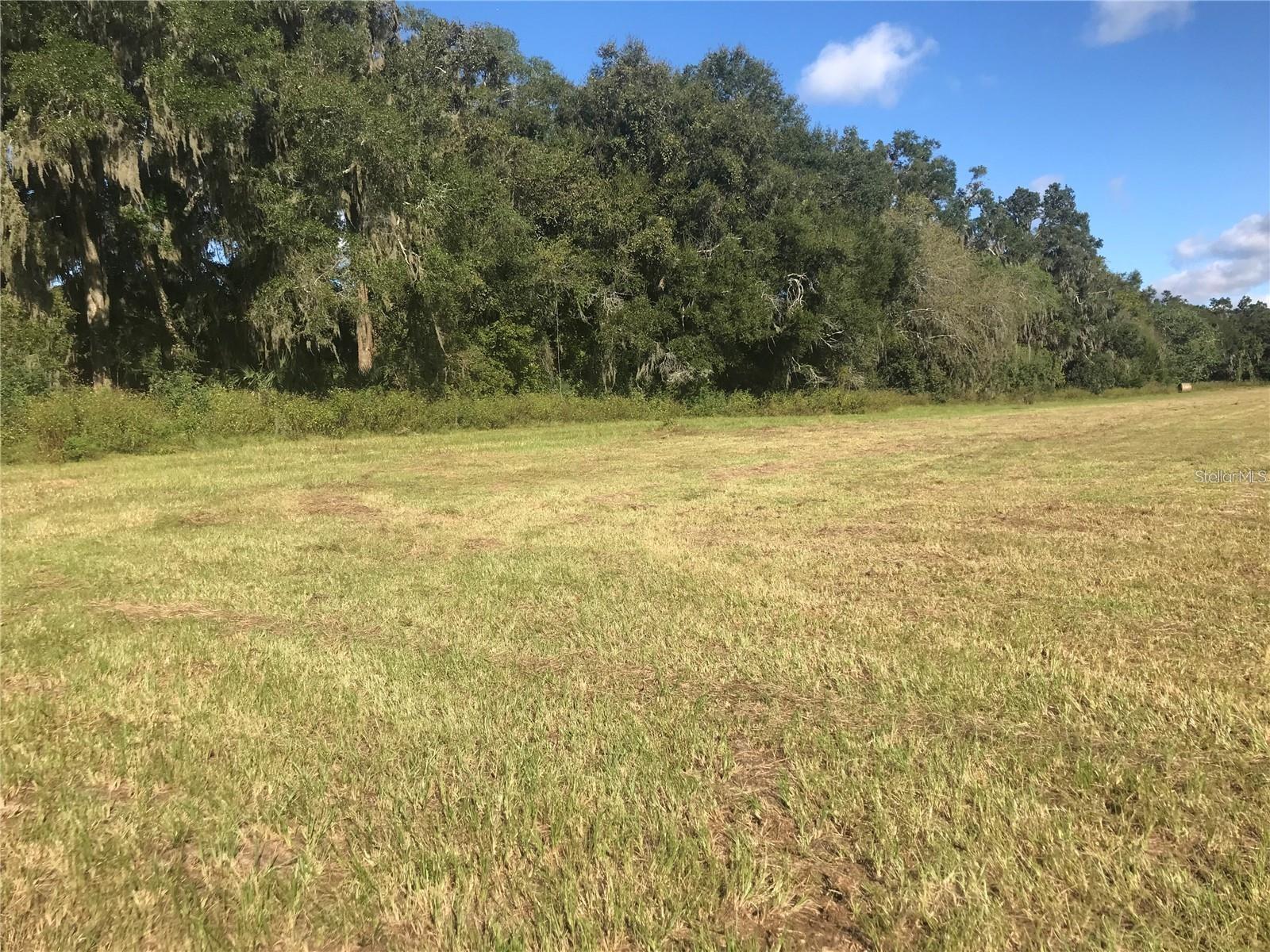 TBD NW 133RD, REDDICK, FL, 32686