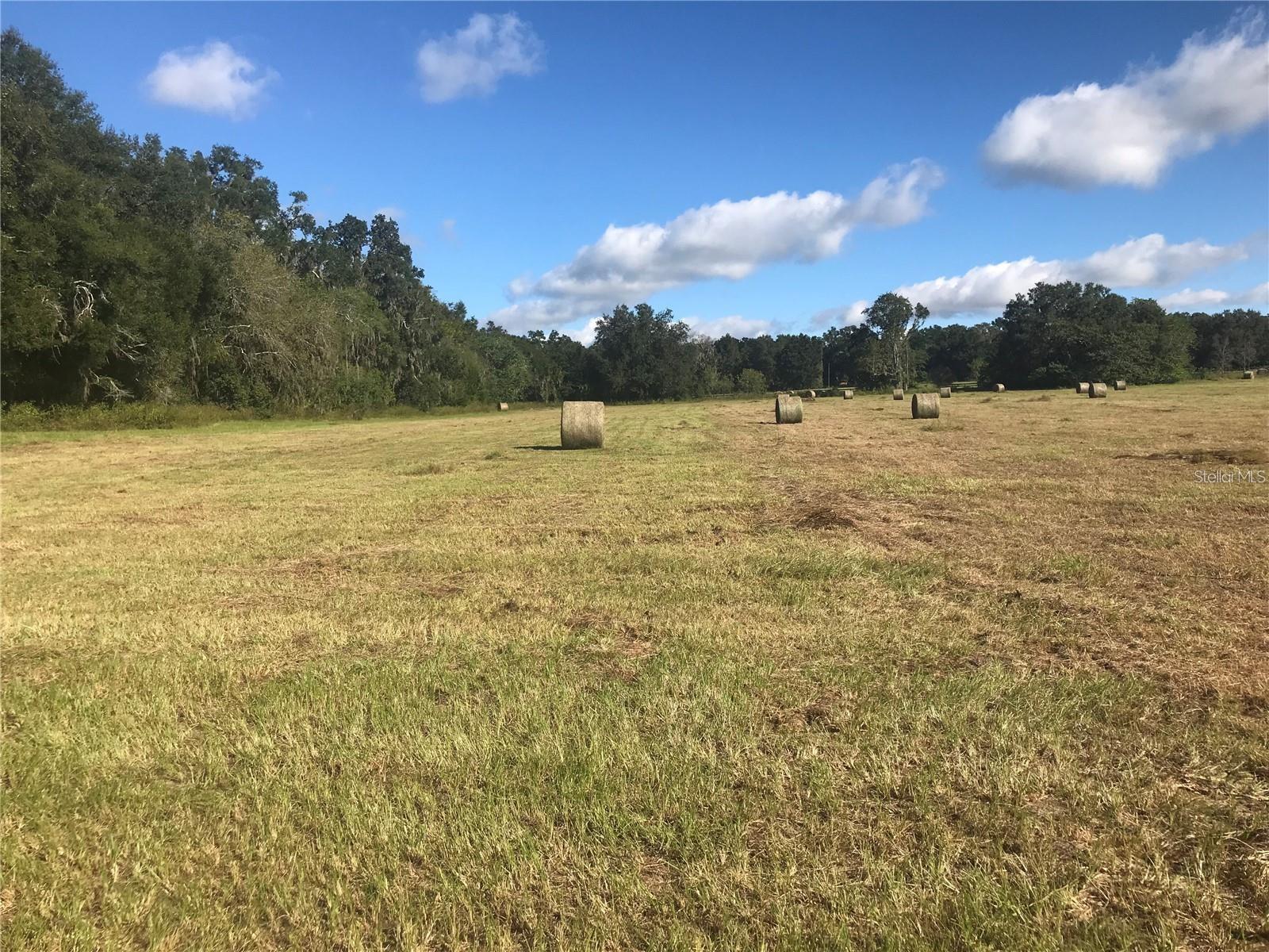 TBD NW 133RD, REDDICK, FL, 32686