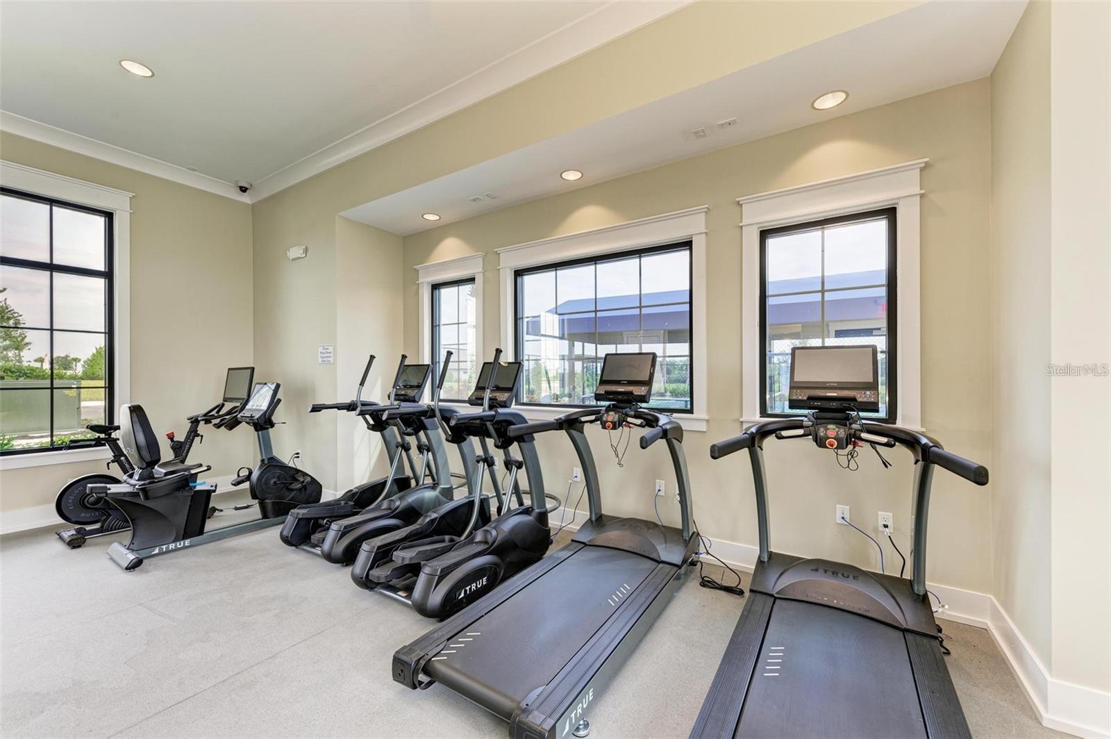 17241 SAVORY MIST CIR, BRADENTON, FL, 34211