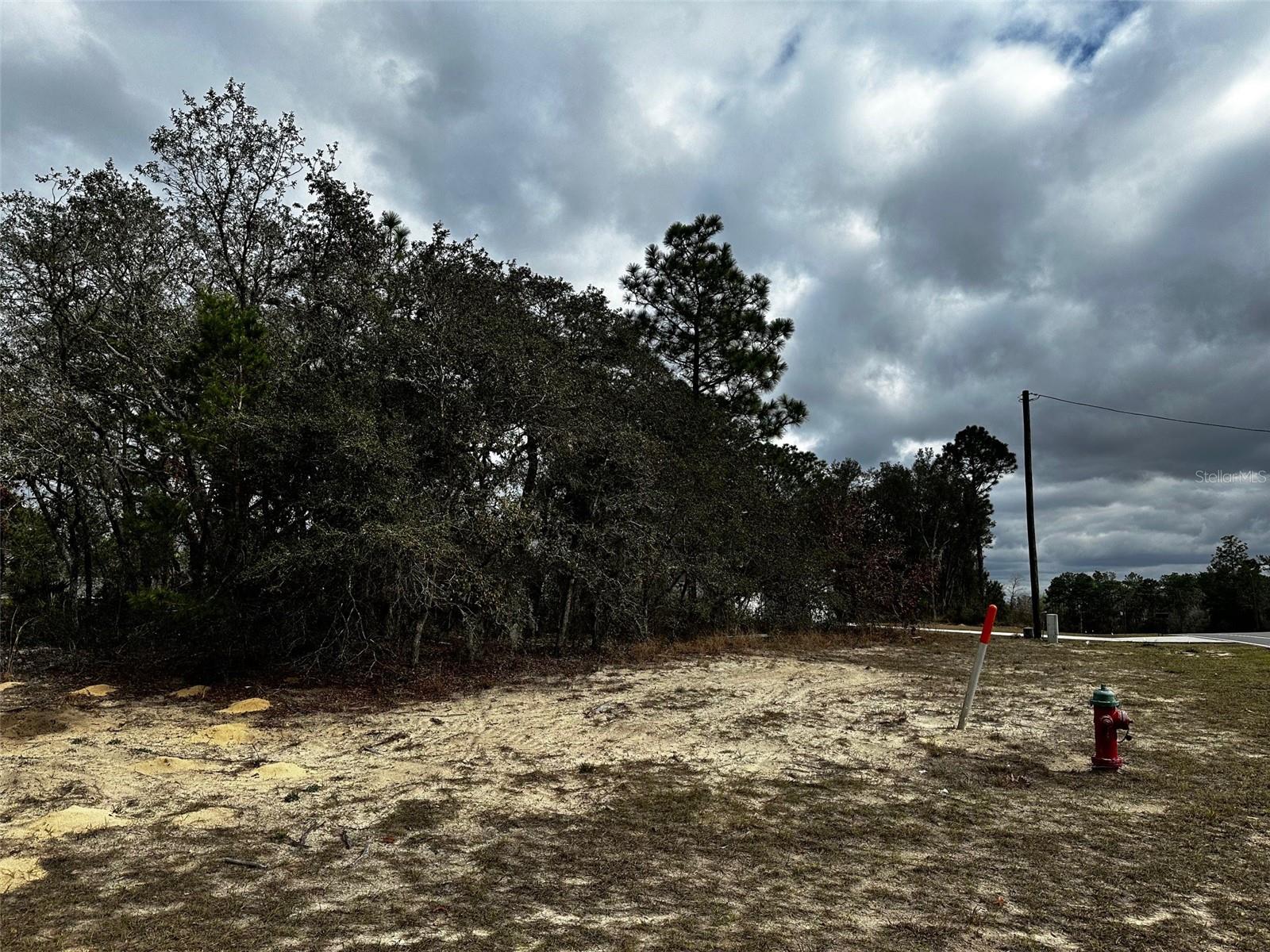 MARION OAKS MNR, OCALA, FL, 34474