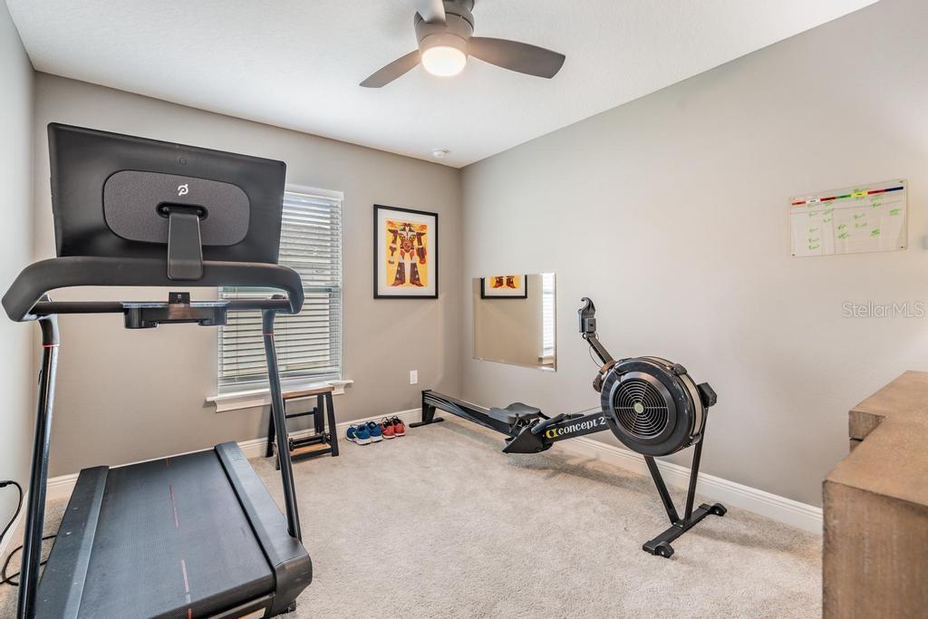 106 1ST AVE NE, LUTZ, FL, 33549