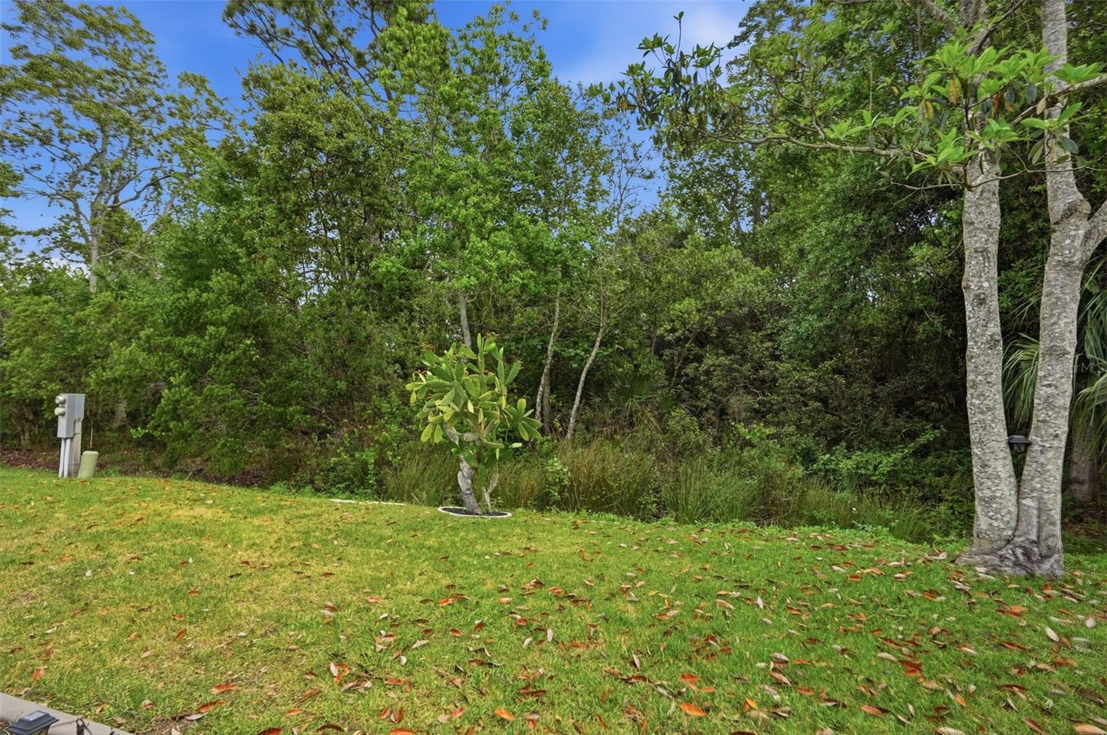 5161 FOREST GLENN DR, SPRING HILL, FL, 34607