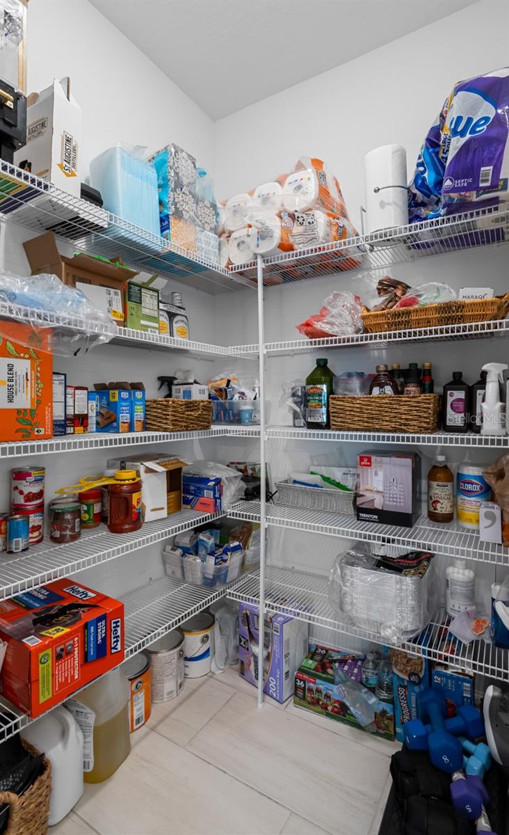 17222 HOLLY WELL AVE, WIMAUMA, FL, 33598