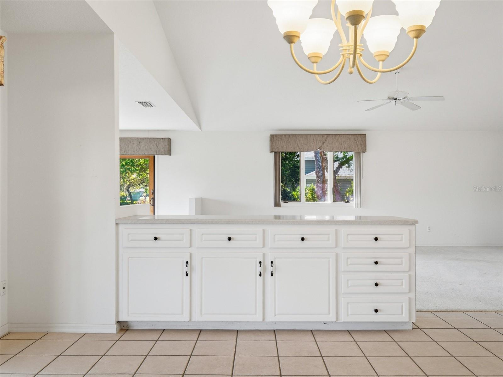 1107 LOCH LOMOND CT, NEW SMYRNA BEACH, FL, 32168