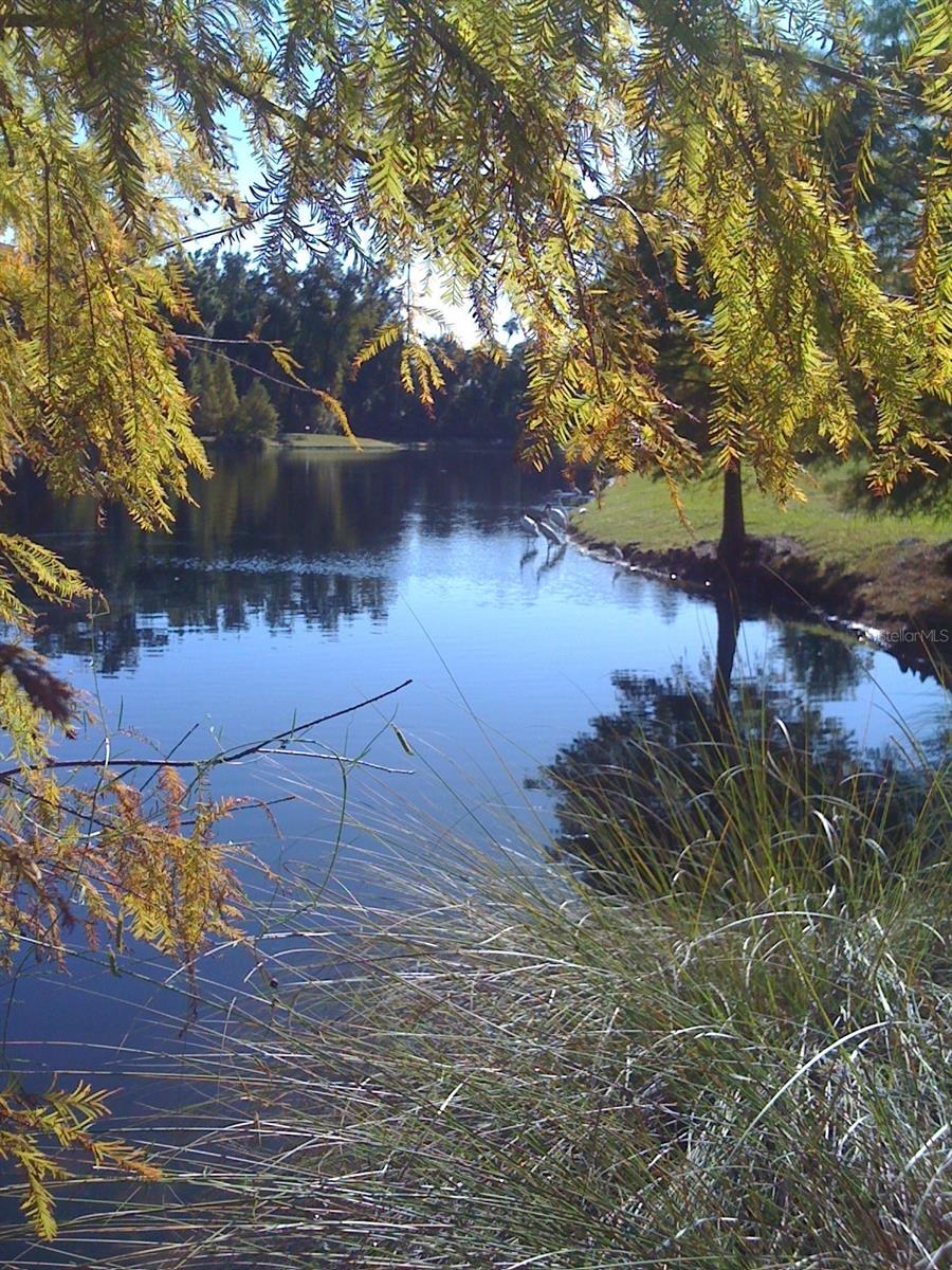 1231 WRIGHT CIR #308, KISSIMMEE, FL, 34747