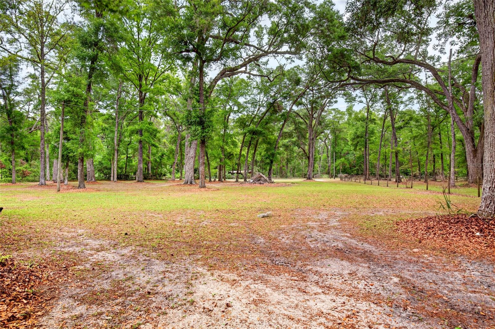 1502 NE 644TH ST, OLD TOWN, FL, 32680