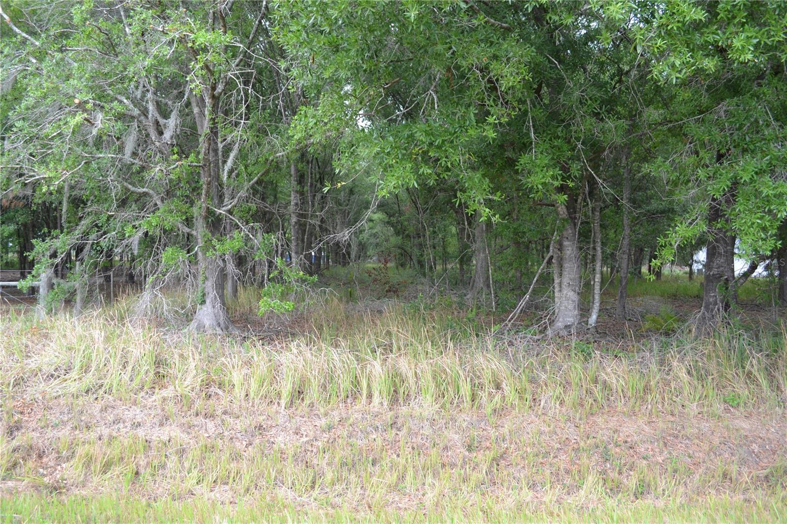 BOSTICK RD, BOWLING GREEN, FL, 33834