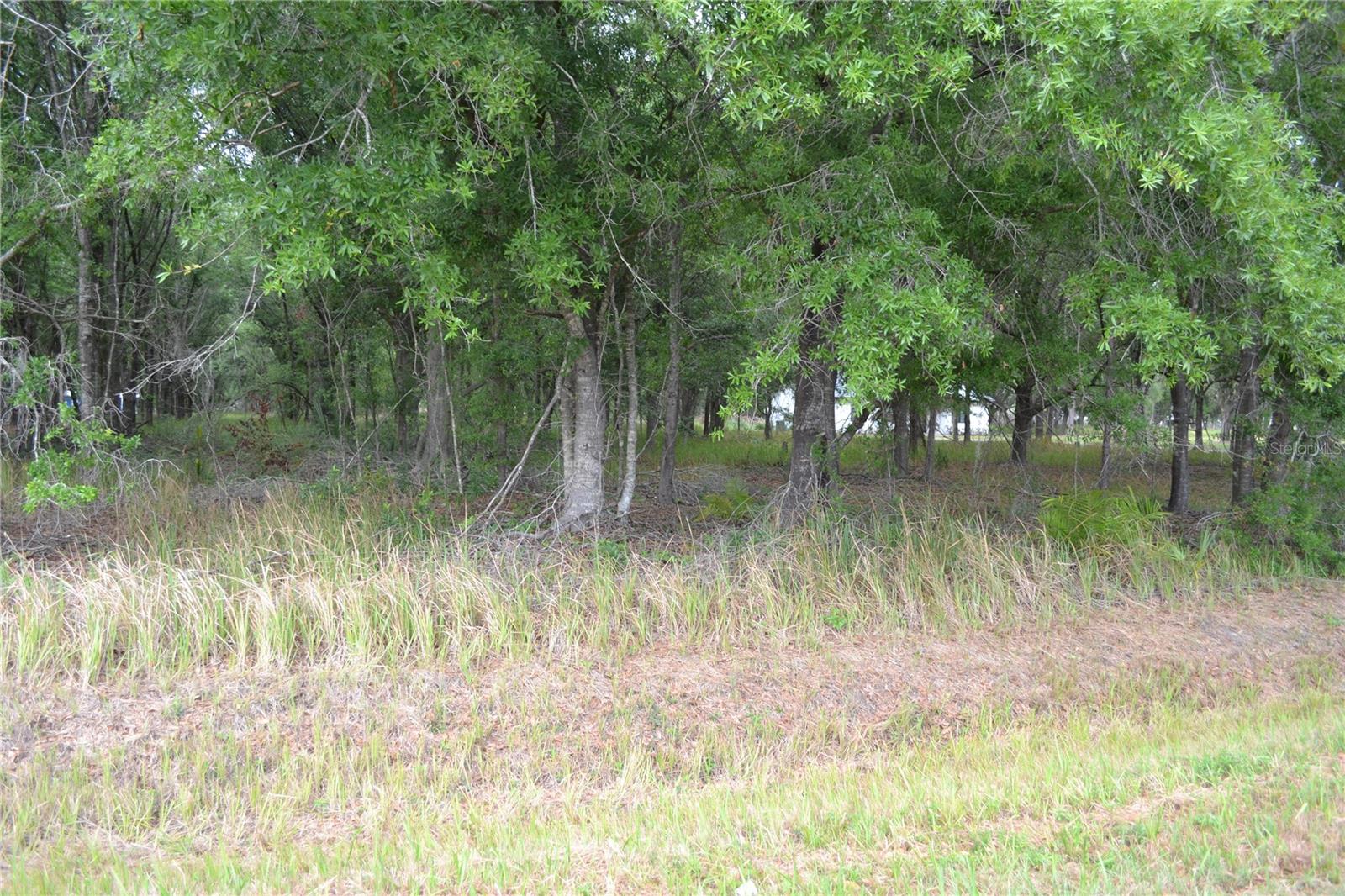 BOSTICK RD, BOWLING GREEN, FL, 33834