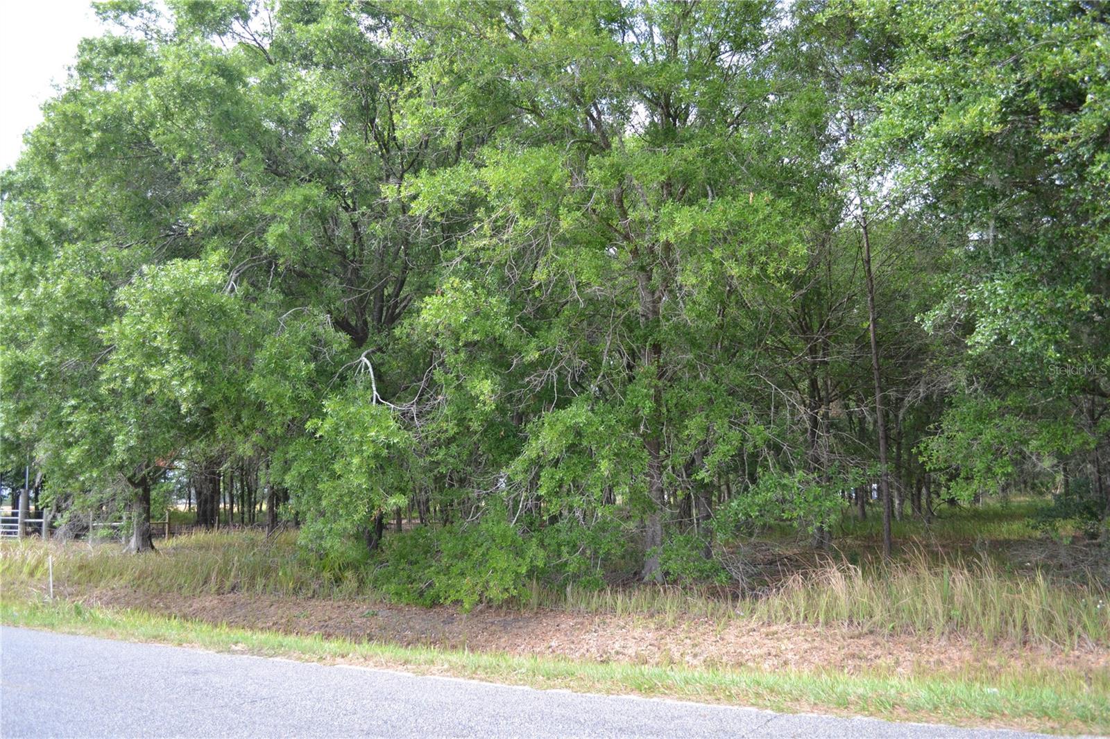 BOSTICK RD, BOWLING GREEN, FL, 33834