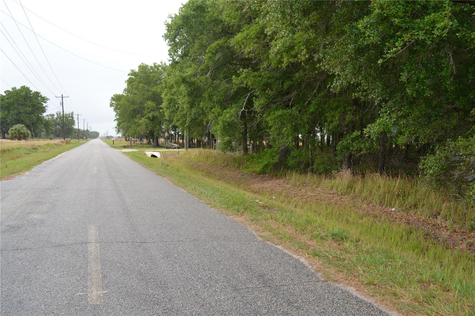 BOSTICK RD, BOWLING GREEN, FL, 33834