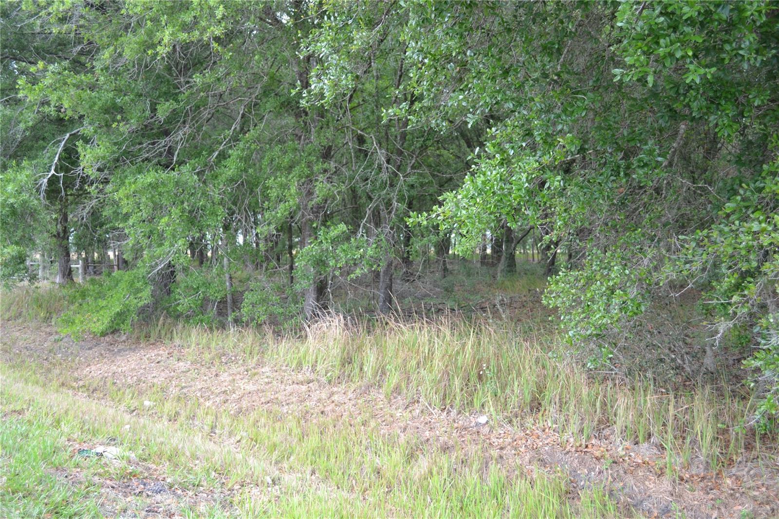 BOSTICK RD, BOWLING GREEN, FL, 33834