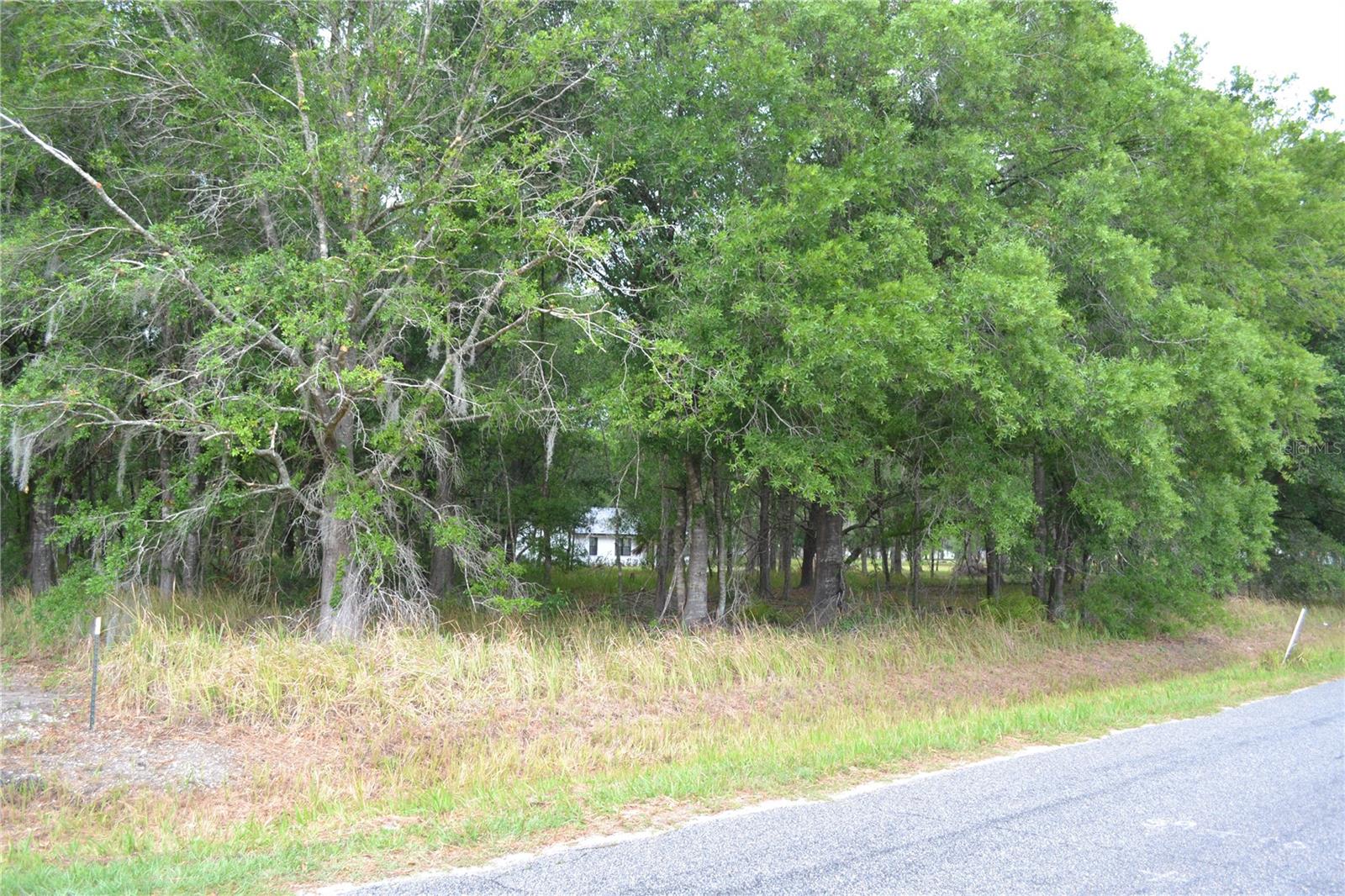 BOSTICK RD, BOWLING GREEN, FL, 33834