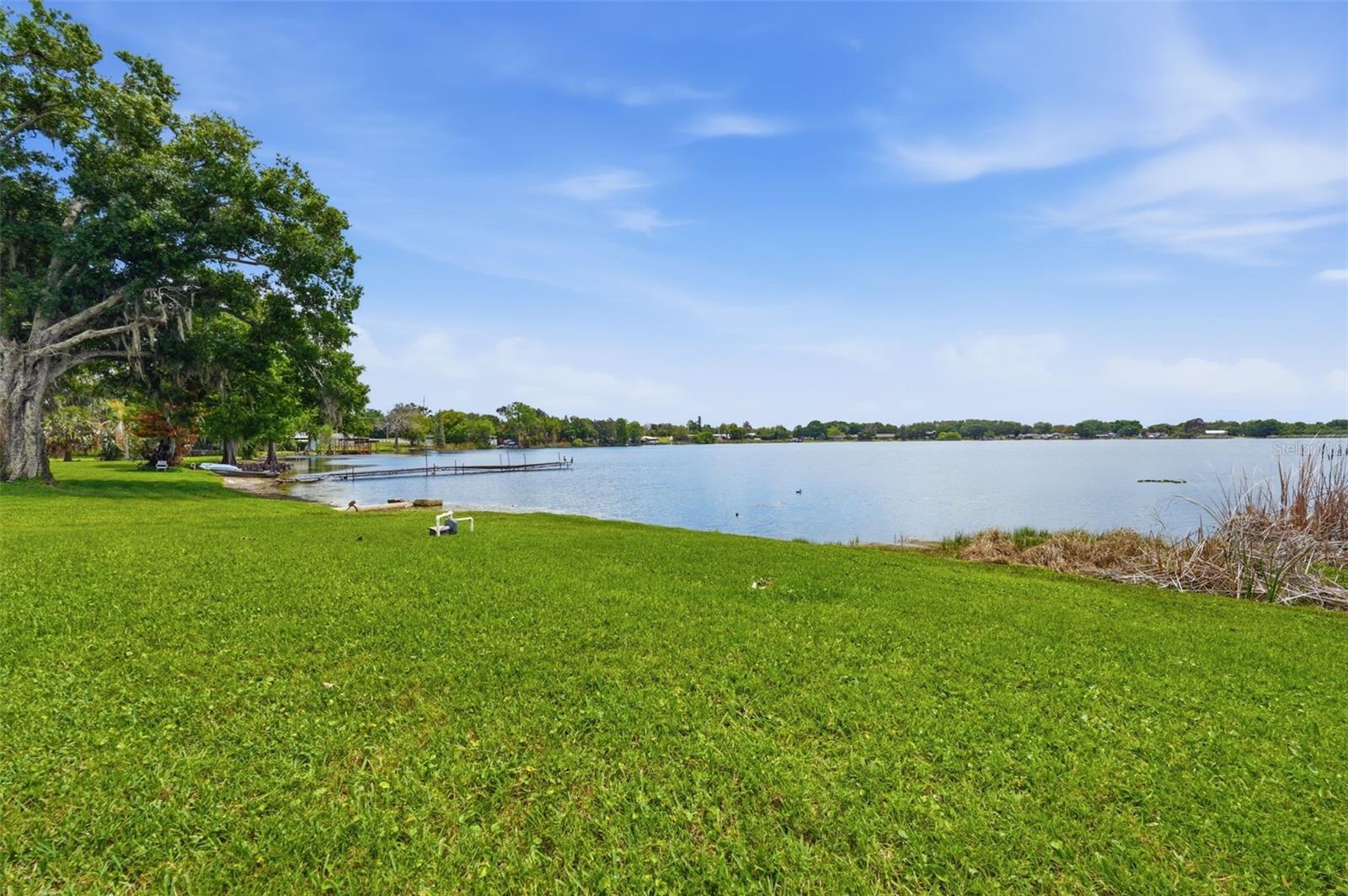 585 SELLARS DR, LAKE ALFRED, FL, 33850