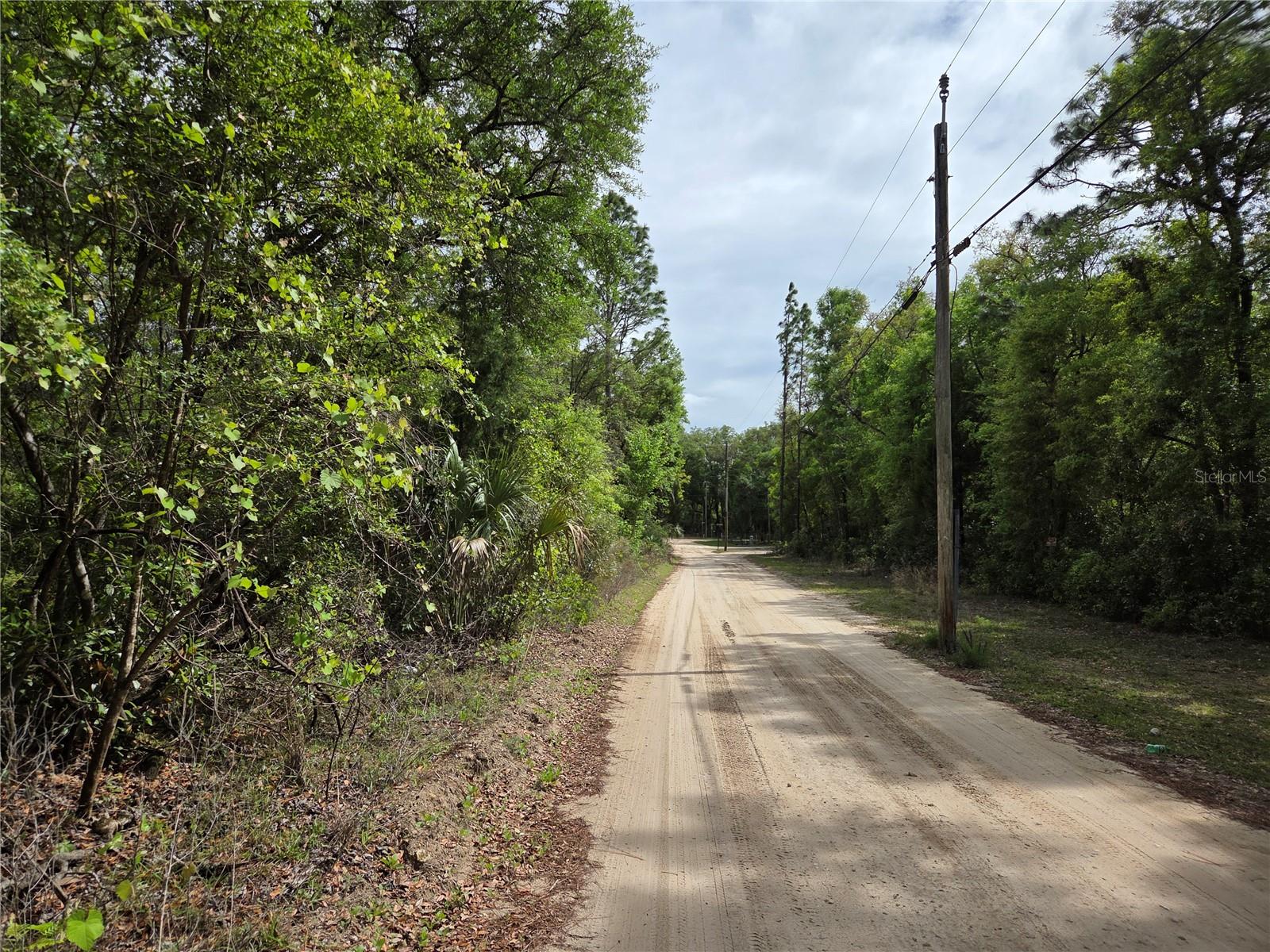 tbd NW 97TH CT, CHIEFLAND, FL, 32626