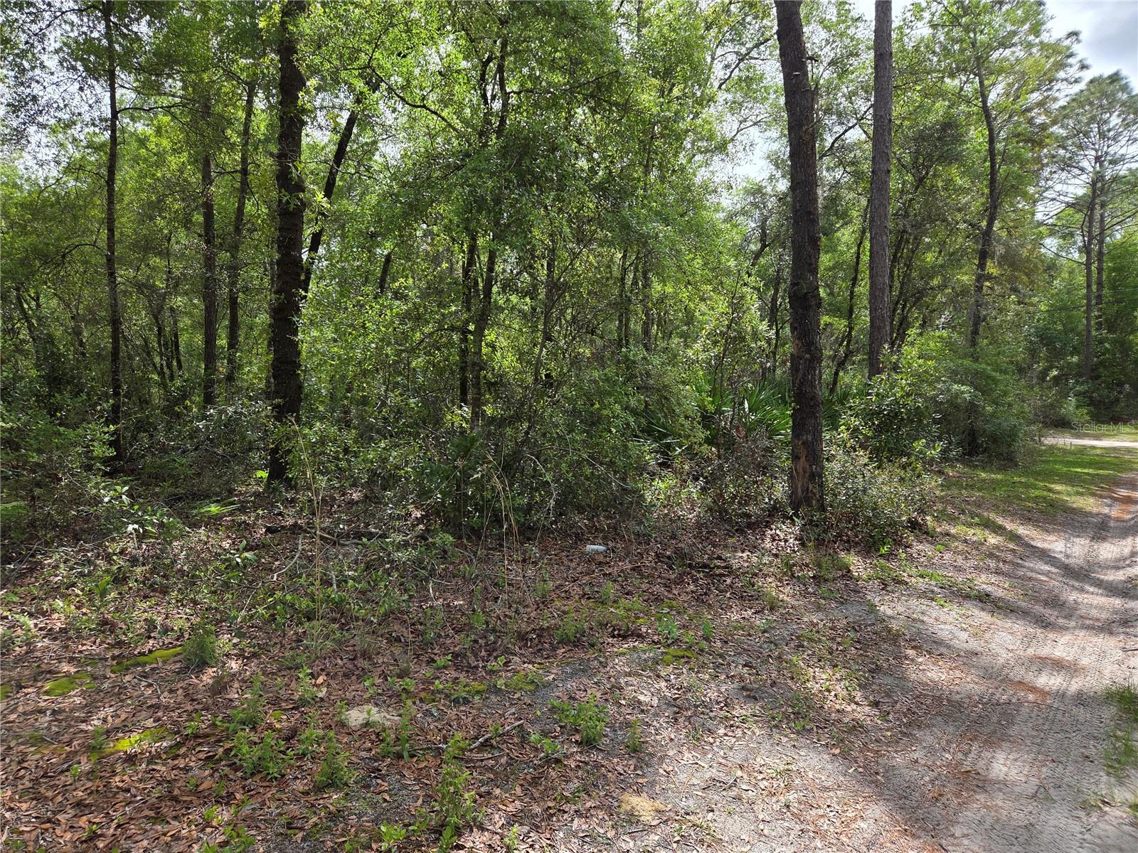 tbd NW 97TH CT, CHIEFLAND, FL, 32626