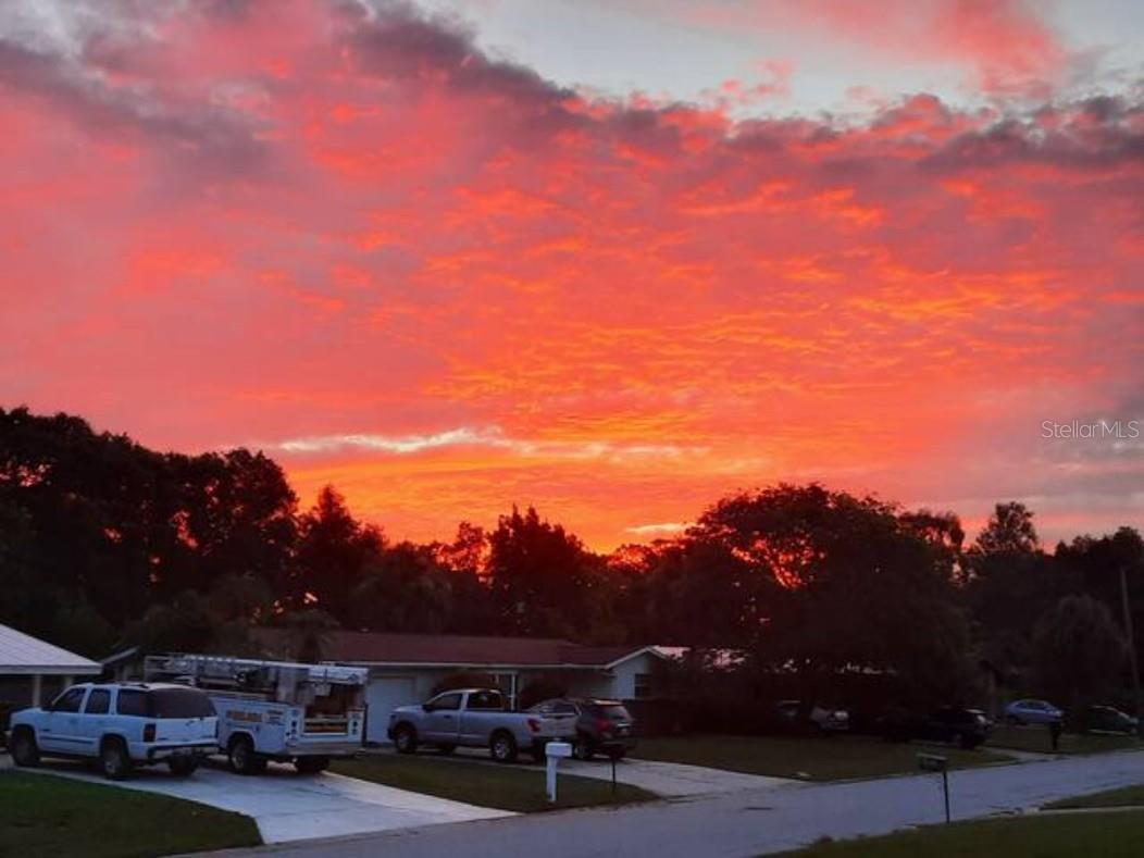 2916 WOODCREST DRIVE DR, SARASOTA, FL, 34239