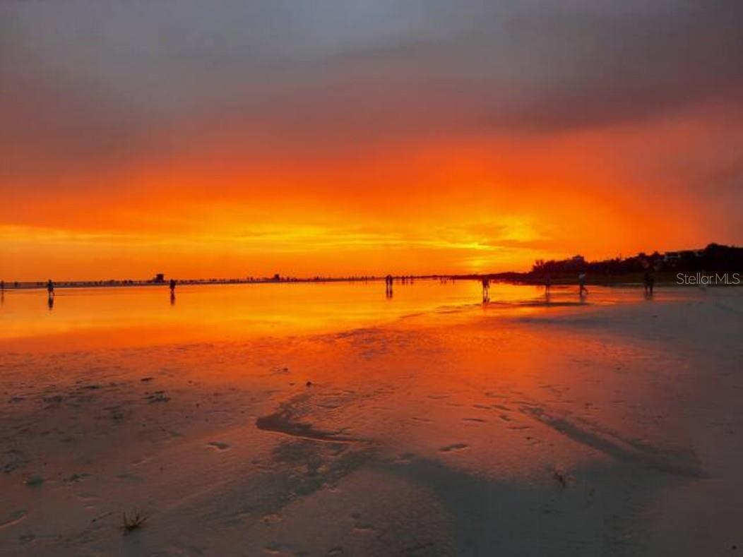 2916 WOODCREST DRIVE DR, SARASOTA, FL, 34239