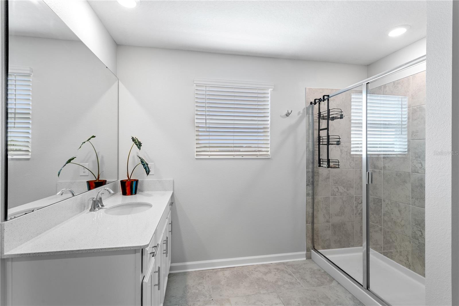 5693 ALENLON WAY, MOUNT DORA, FL, 32757