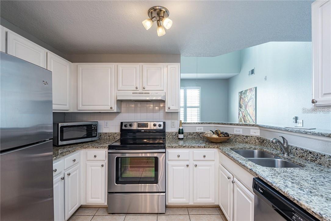 501 KNIGHTS RUN AVE #2304, TAMPA, FL, 33602