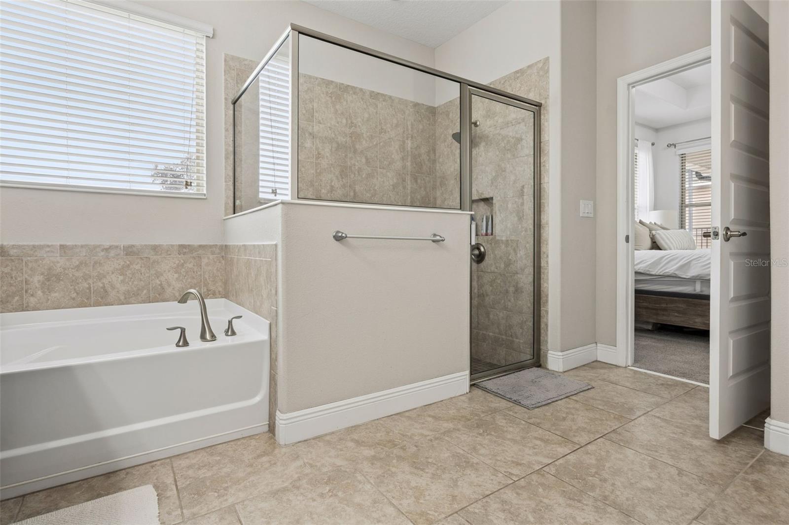 8275 BAYVIEW CROSSING DR DR, WINTER GARDEN, FL, 34787