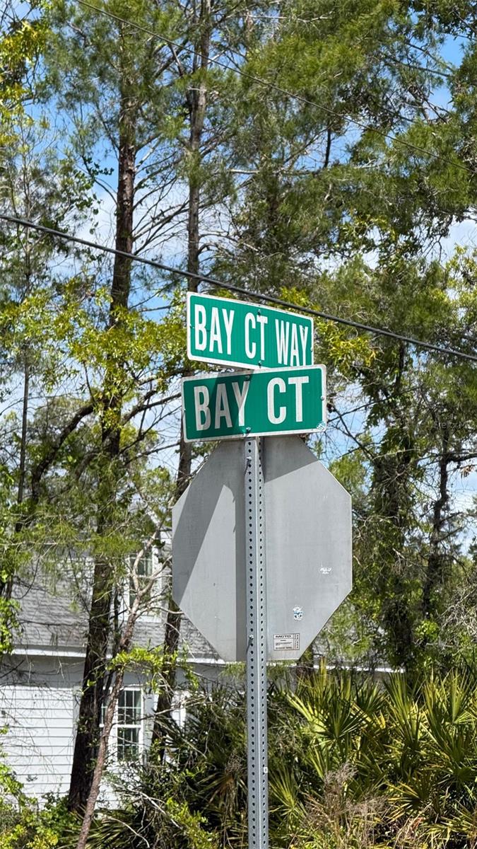Lot 15 BAY CT, OCKLAWAHA, FL, 32179