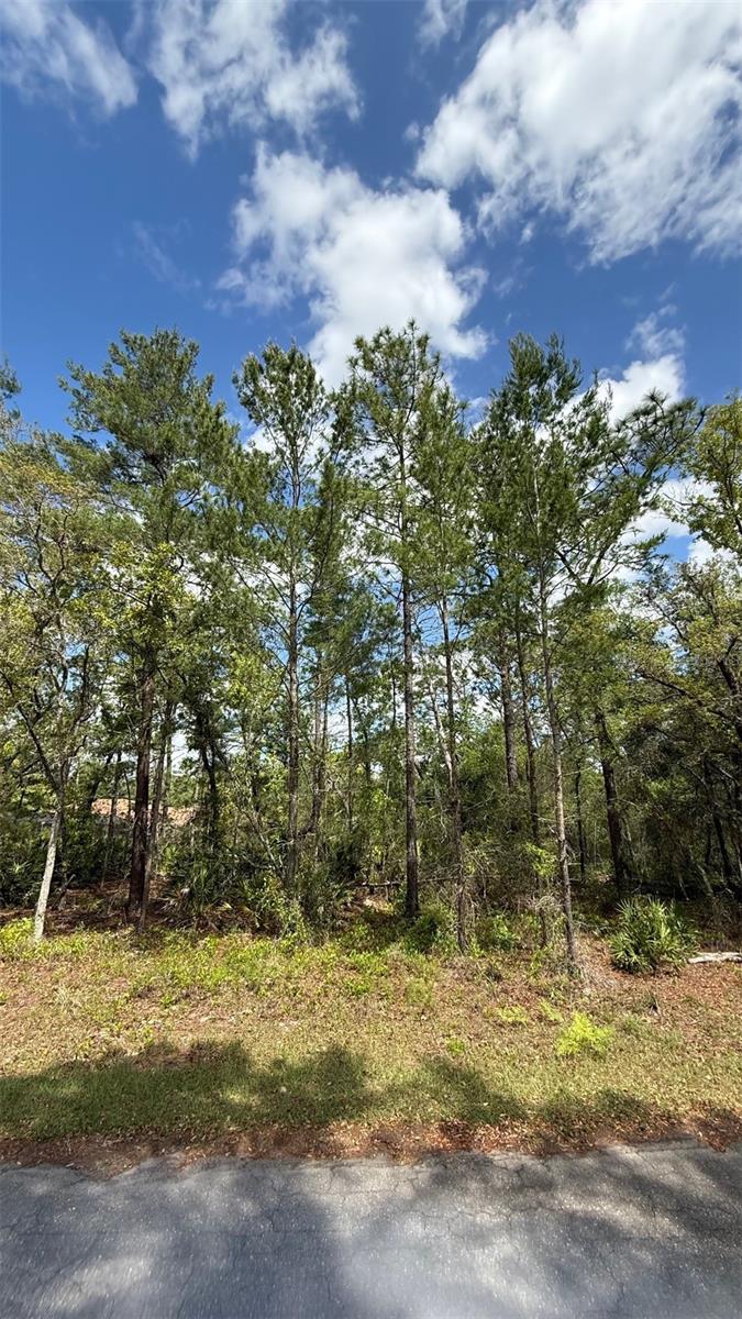 Lot 15 BAY CT, OCKLAWAHA, FL, 32179