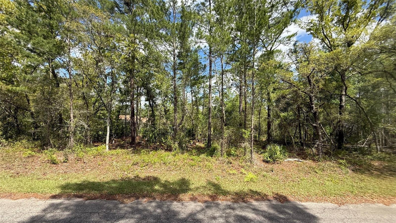 Lot 15 BAY CT, OCKLAWAHA, FL, 32179