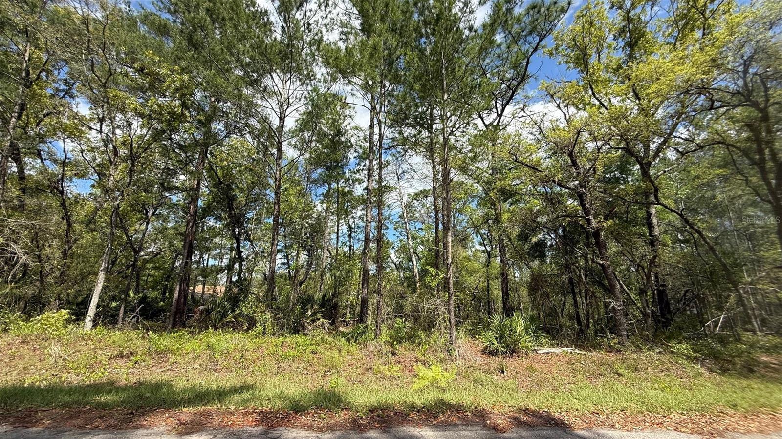 Lot 15 BAY CT, OCKLAWAHA, FL, 32179