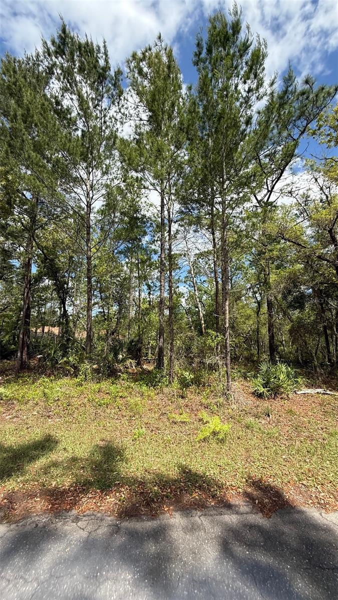 Lot 15 BAY CT, OCKLAWAHA, FL, 32179